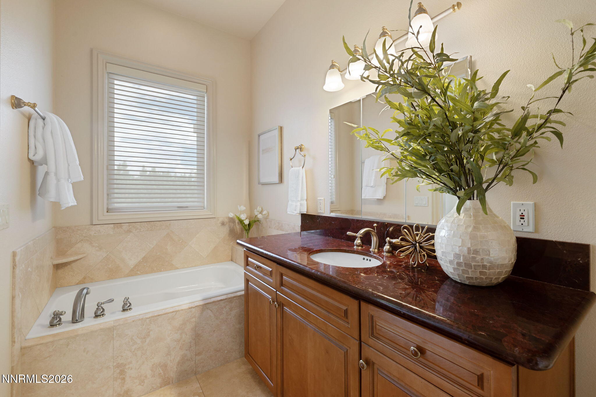 3387 Nambe Drive Property Photo 47