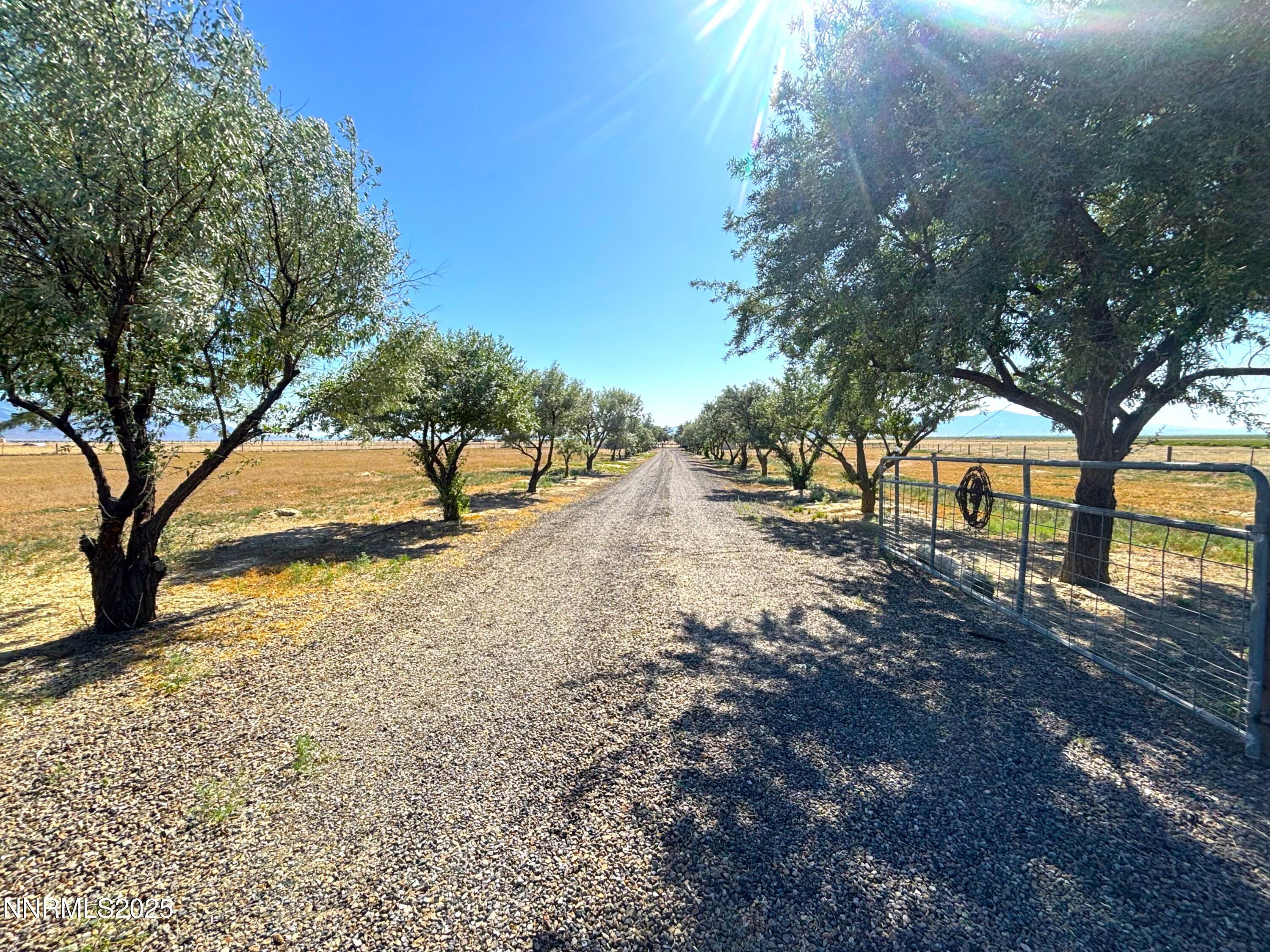 1000 Skyline Boulevard Property Photo 12