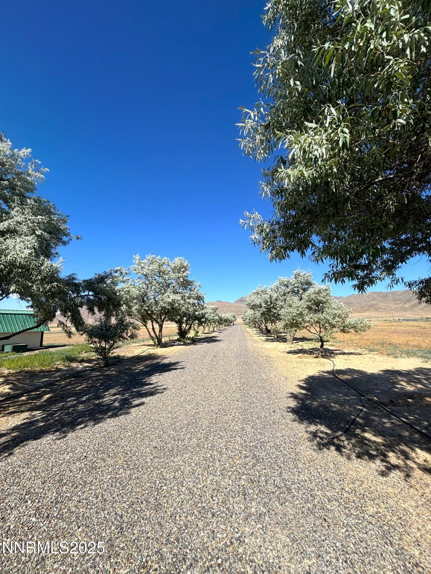 1000 Skyline Boulevard Property Photo 13