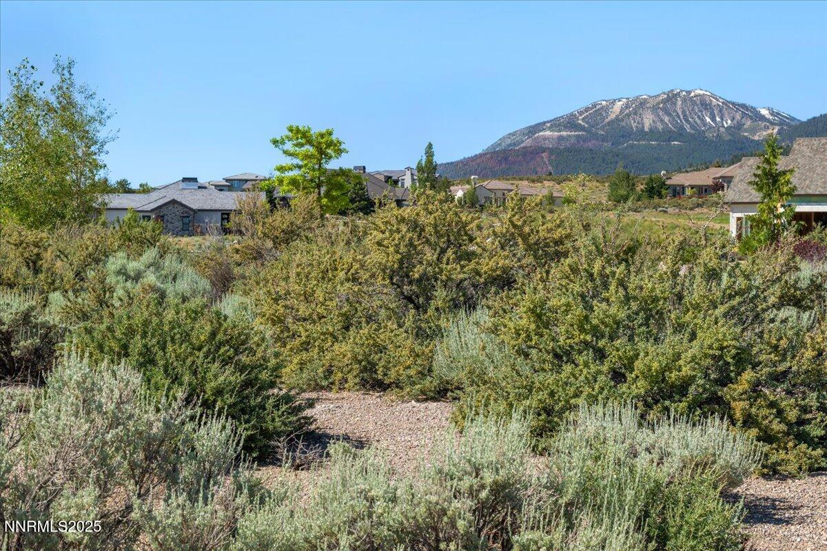 5725 Flowering Sage Trail Property Photo 8