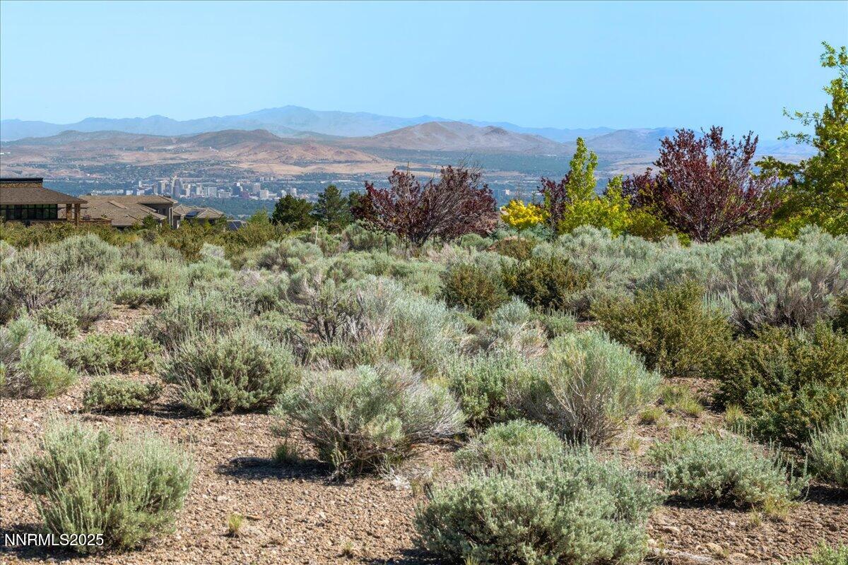 5725 Flowering Sage Trail Property Photo 10
