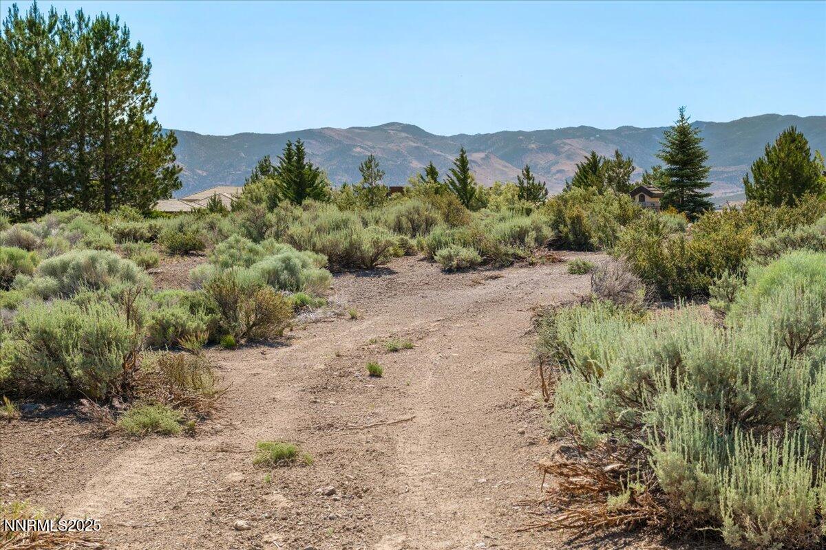 5725 Flowering Sage Trail Property Photo 18