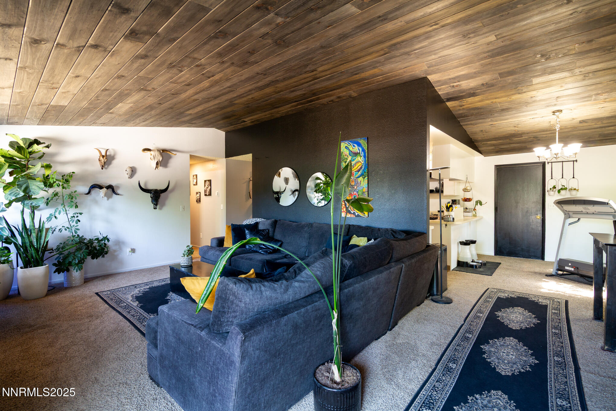 3189 Shriver Drive