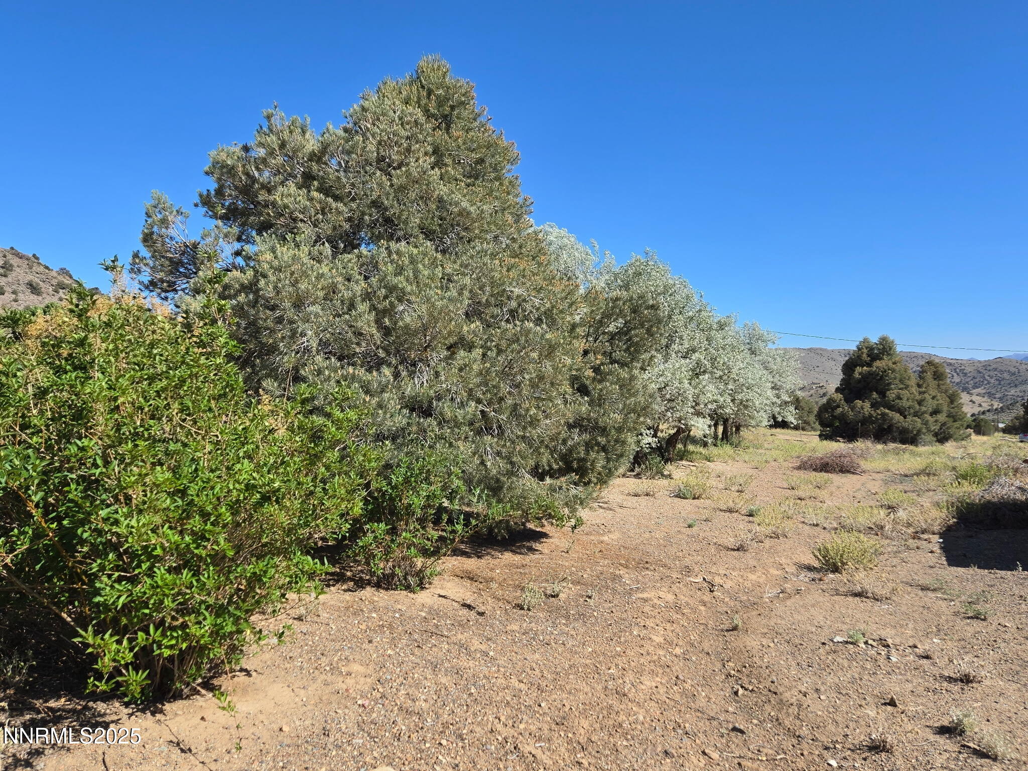 1340 Topaz Ranch Road Property Photo 19