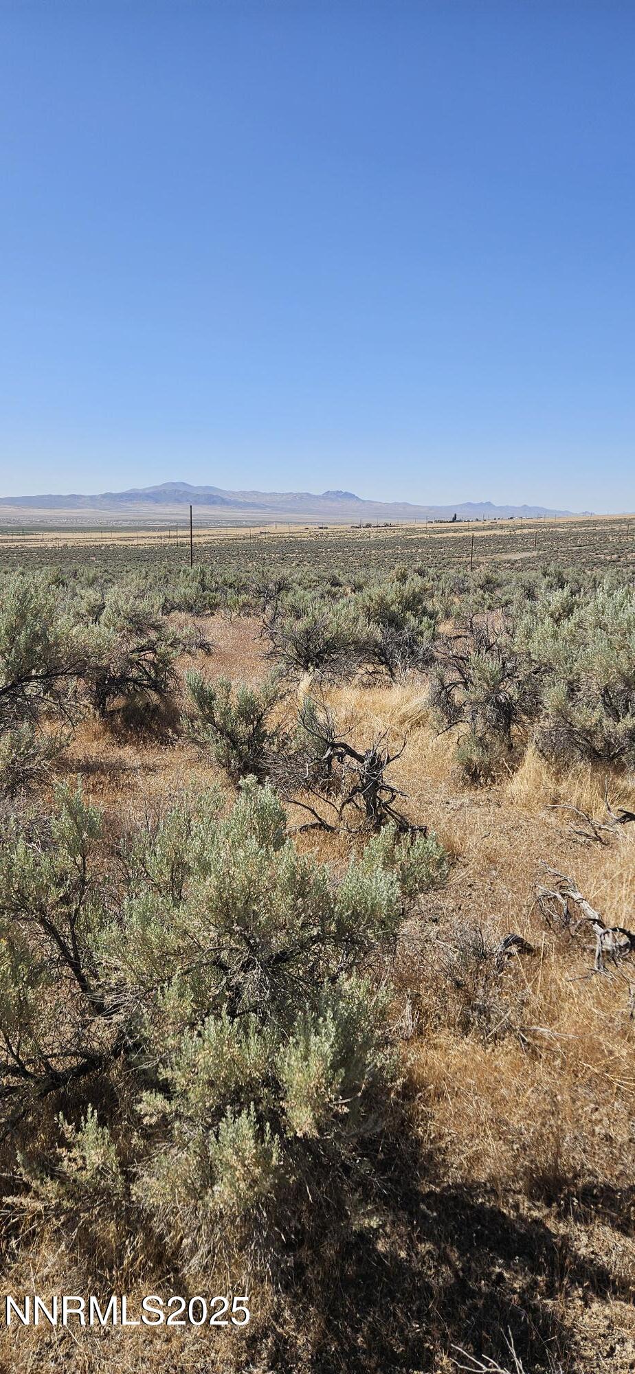 12170 Rye Patch Reservoir Road Property Photo 6