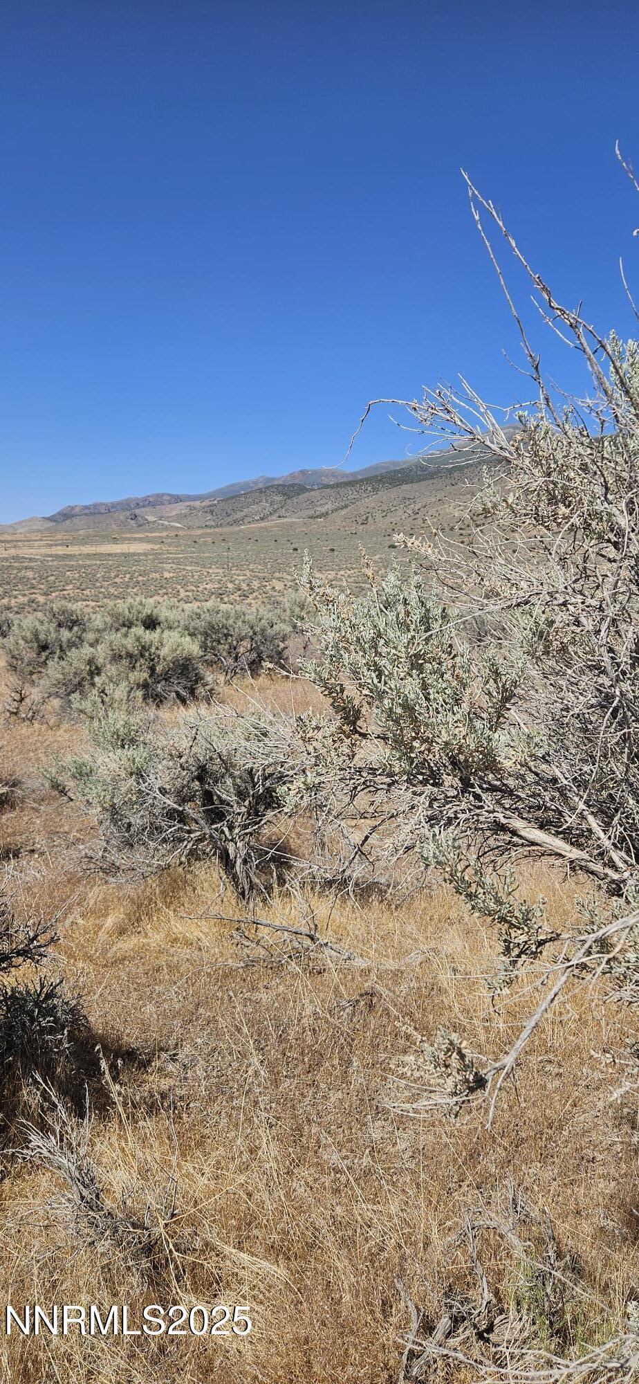 12170 Rye Patch Reservoir Road Property Photo 8
