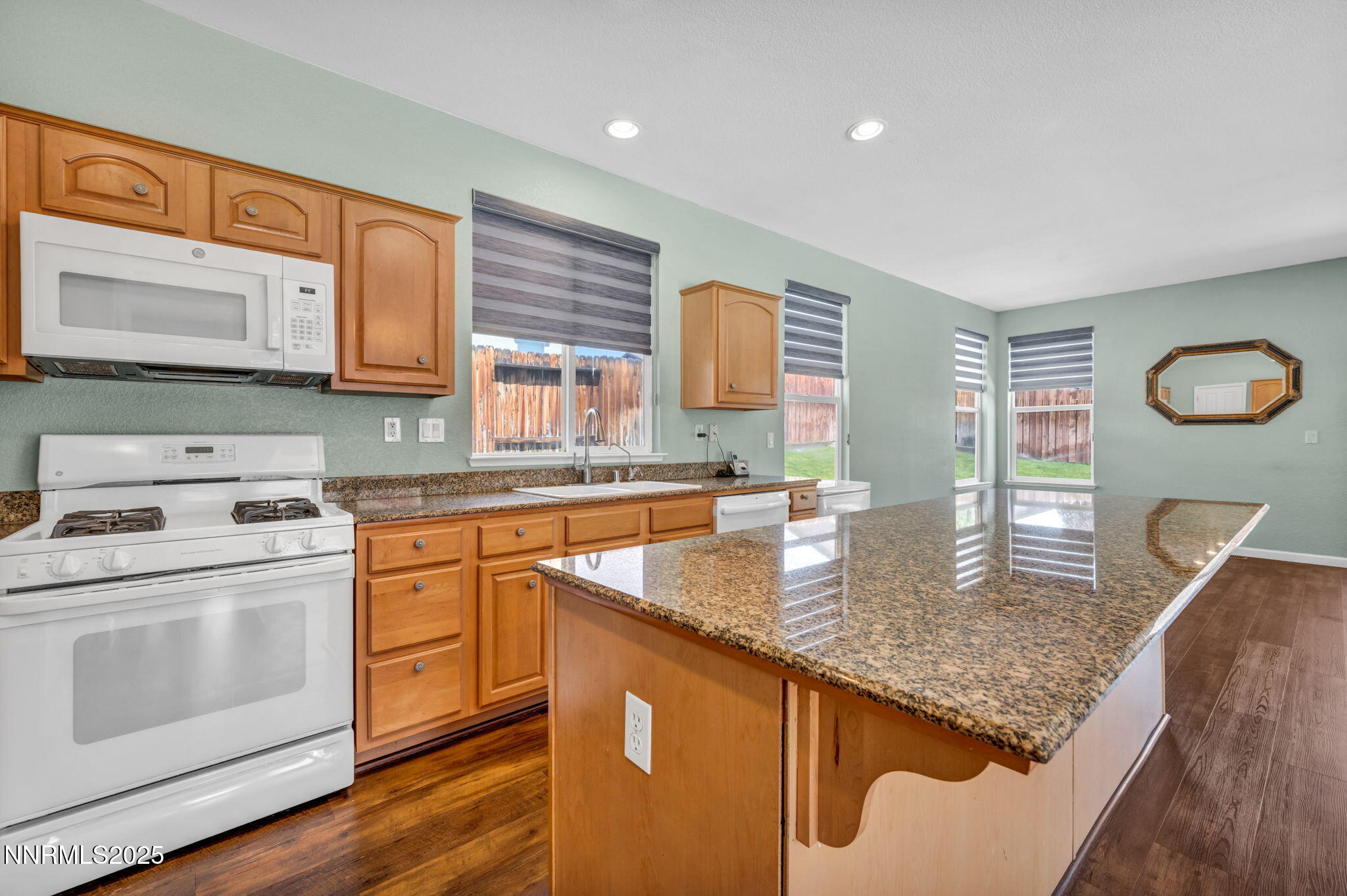 585 Sonora Pass Court Property Photo 19