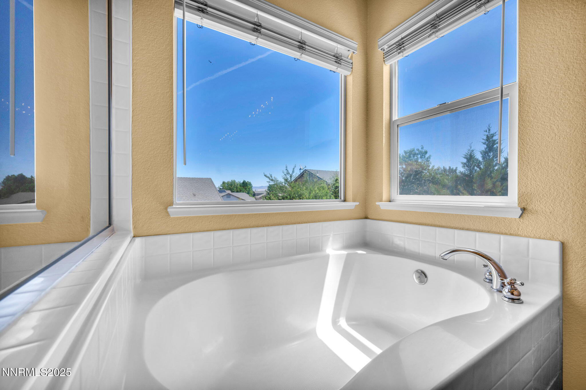 585 Sonora Pass Court Property Photo 29