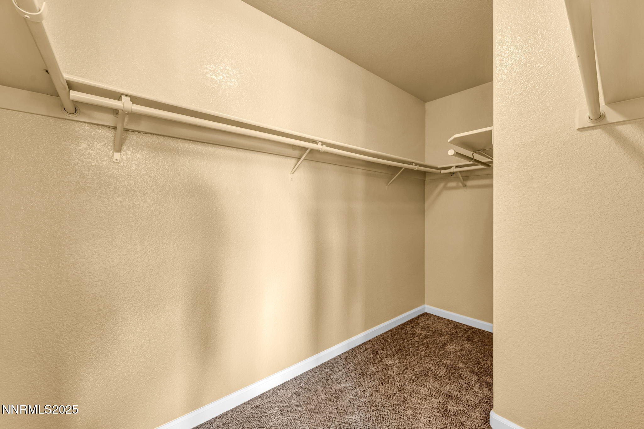 585 Sonora Pass Court Property Photo 36