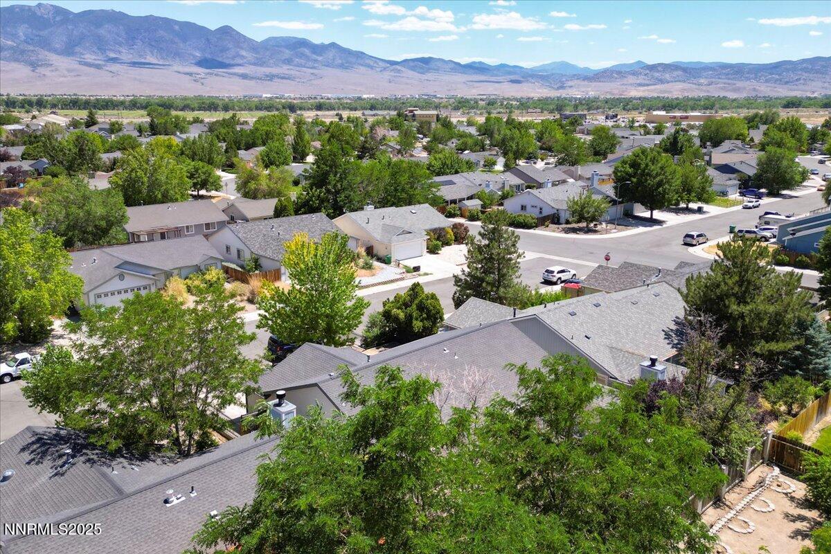 539 Rawe Peak Drive Property Photo 36