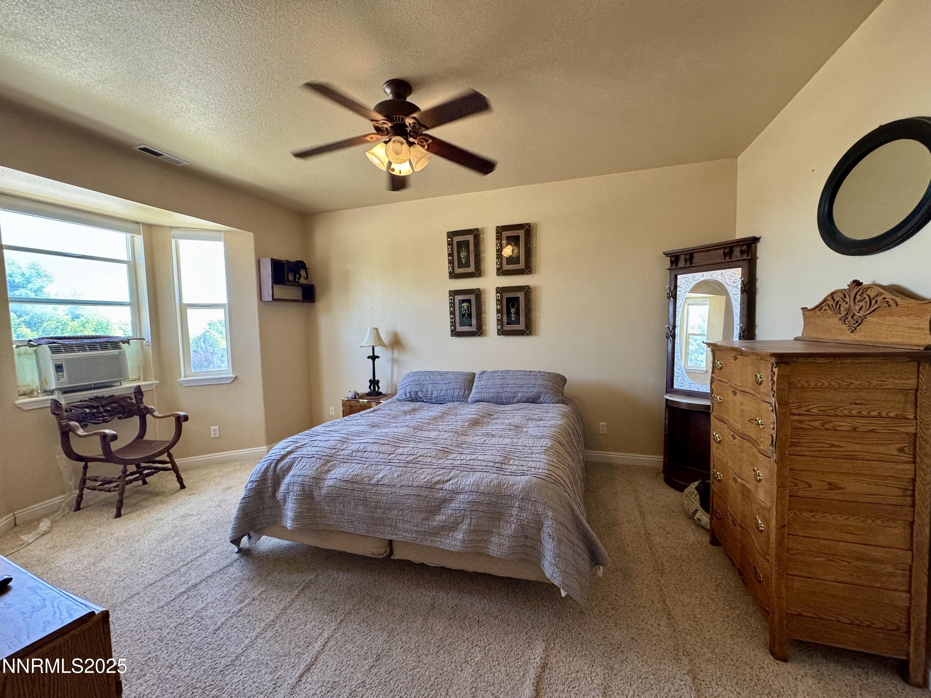 5188 Snowy Mountain Drive Property Photo 19