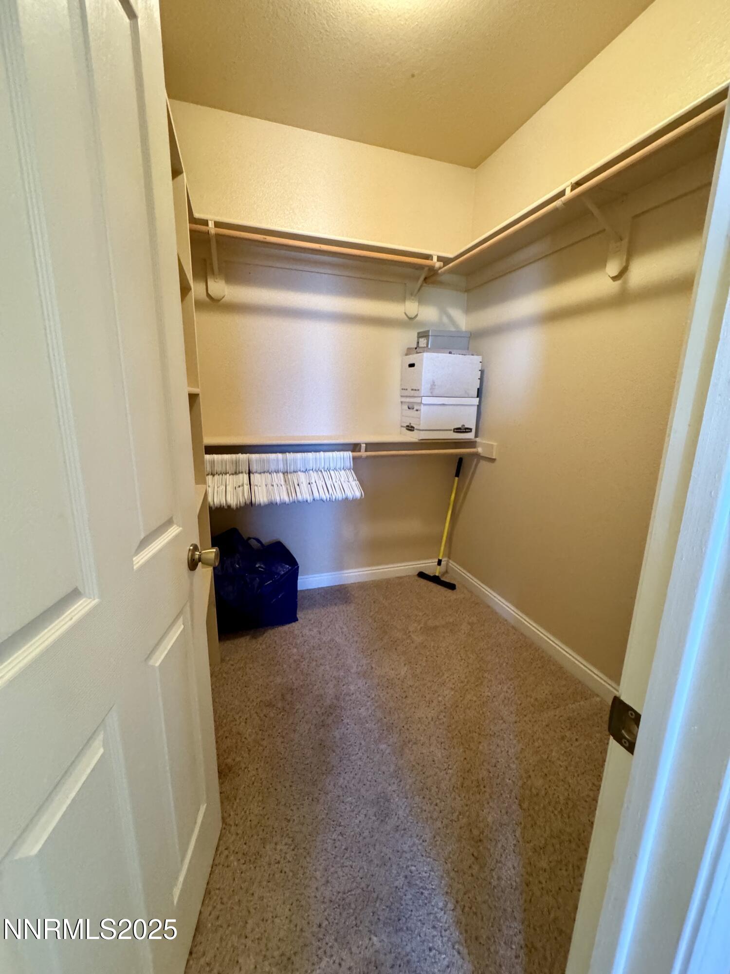 5188 Snowy Mountain Drive Property Photo 22