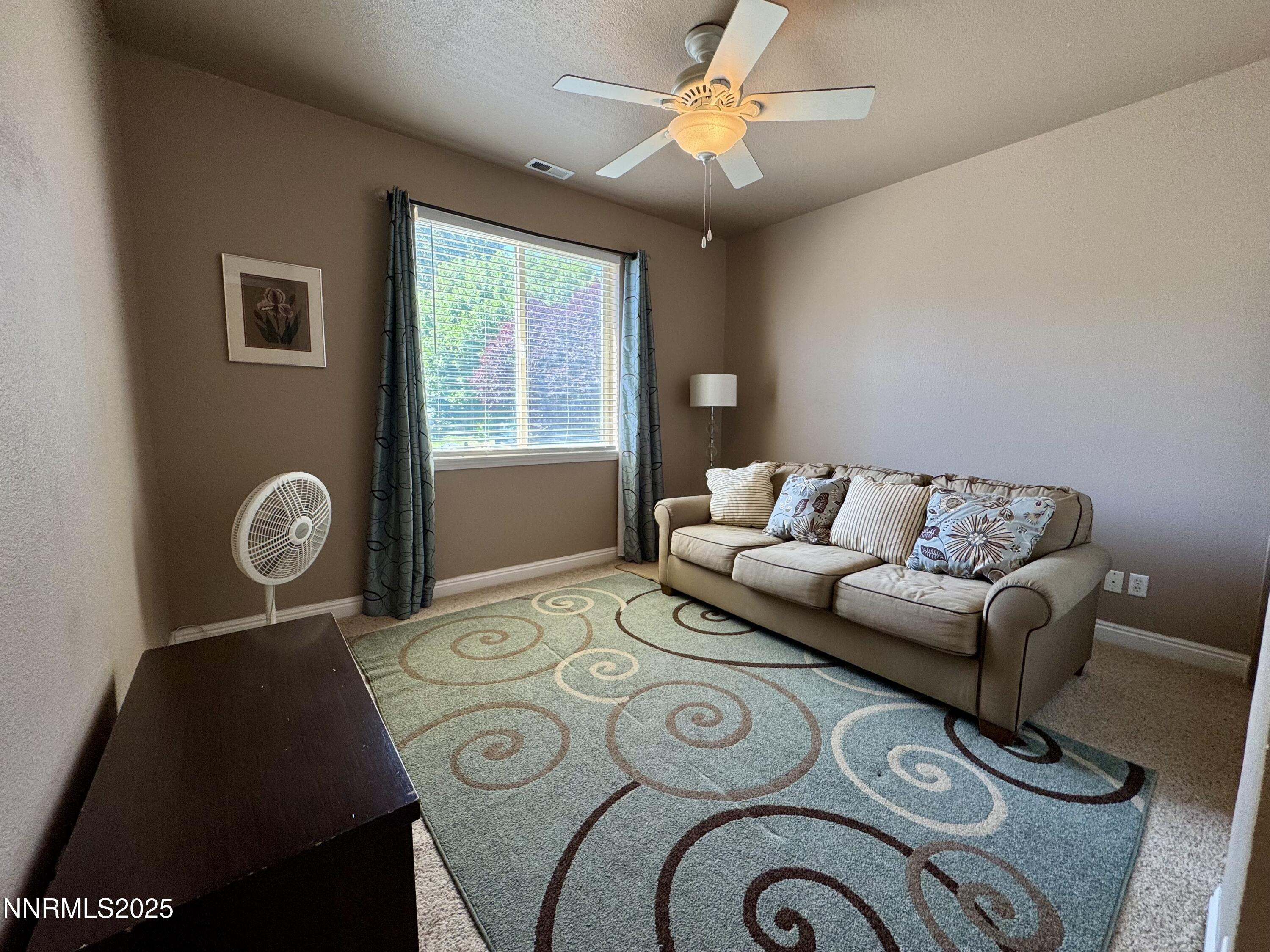 5188 Snowy Mountain Drive Property Photo 24