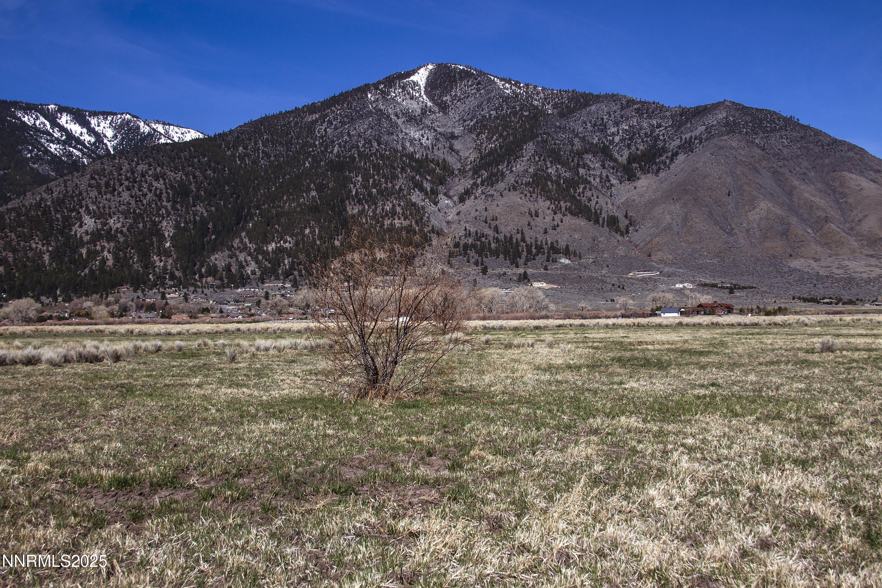 004 Deerhaven Property Photo 4