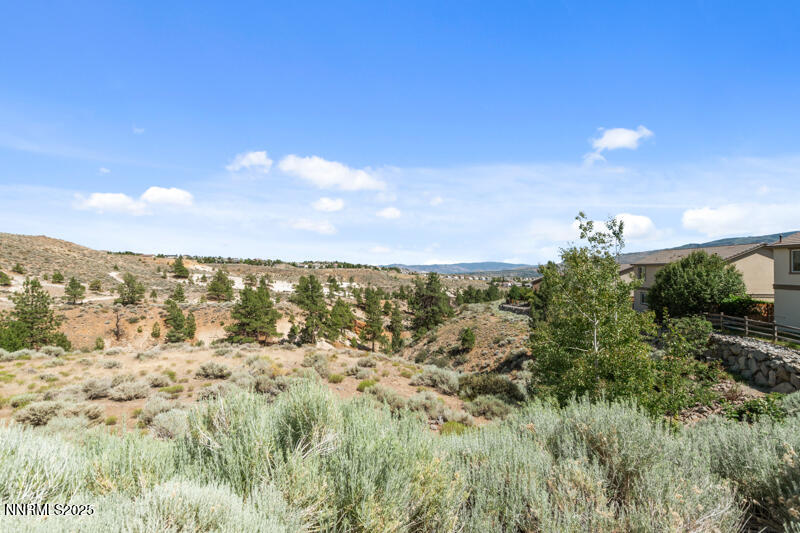 2720 Peavine Pines Court Property Photo 26