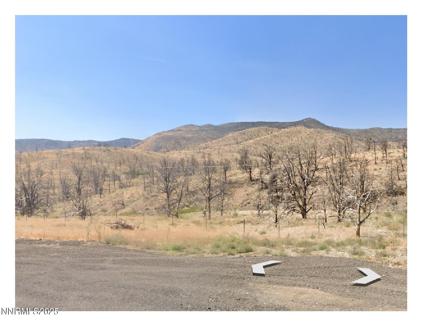 Tbd N Hwy 395 Property Photo 1