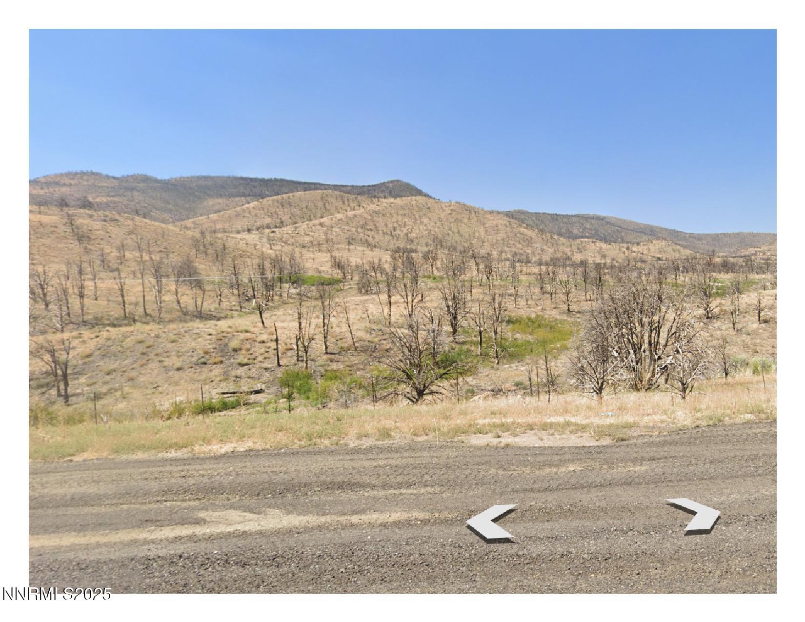 Tbd N Hwy 395 Property Photo 2