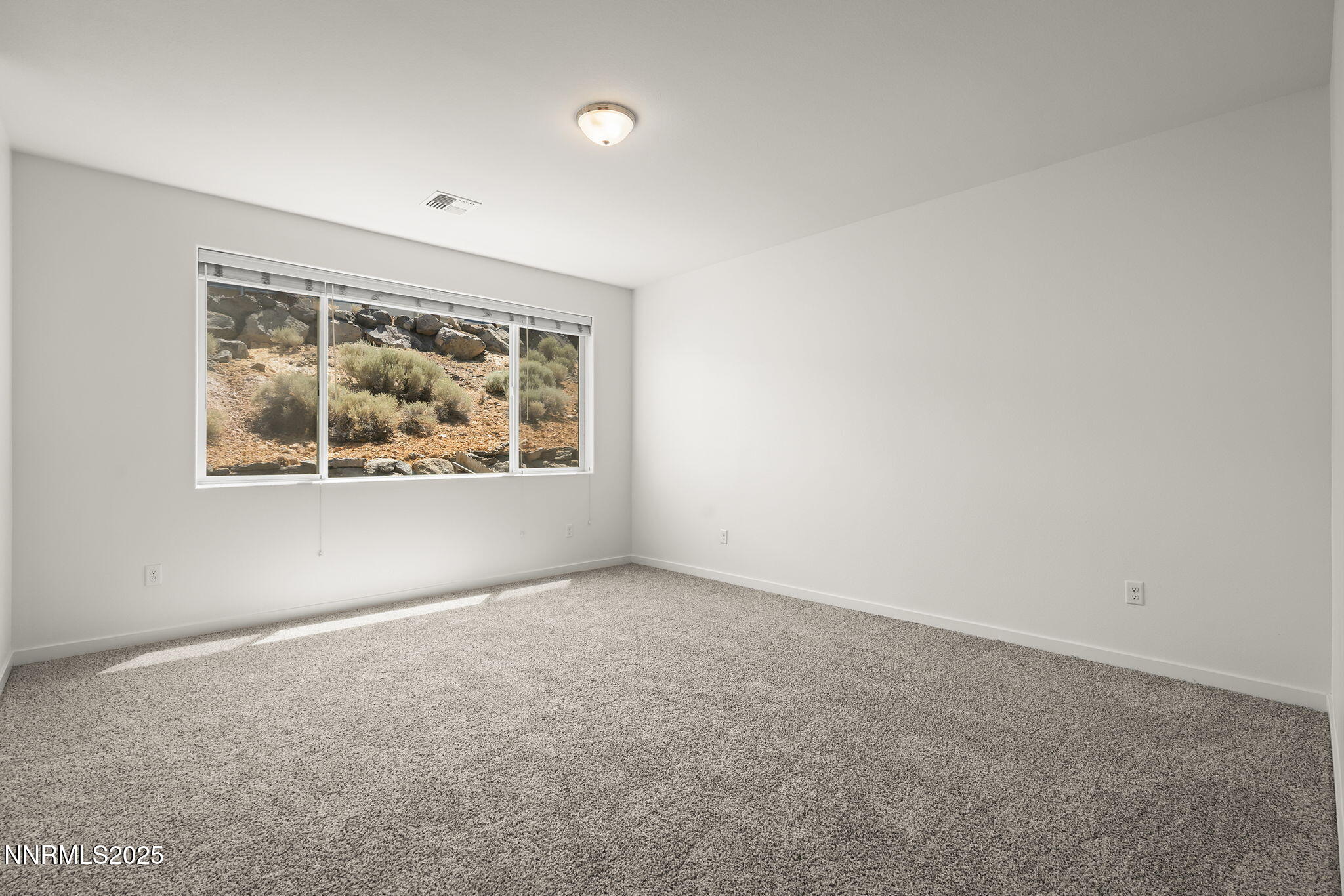 4693 Falcon Rock Lane Property Photo 13