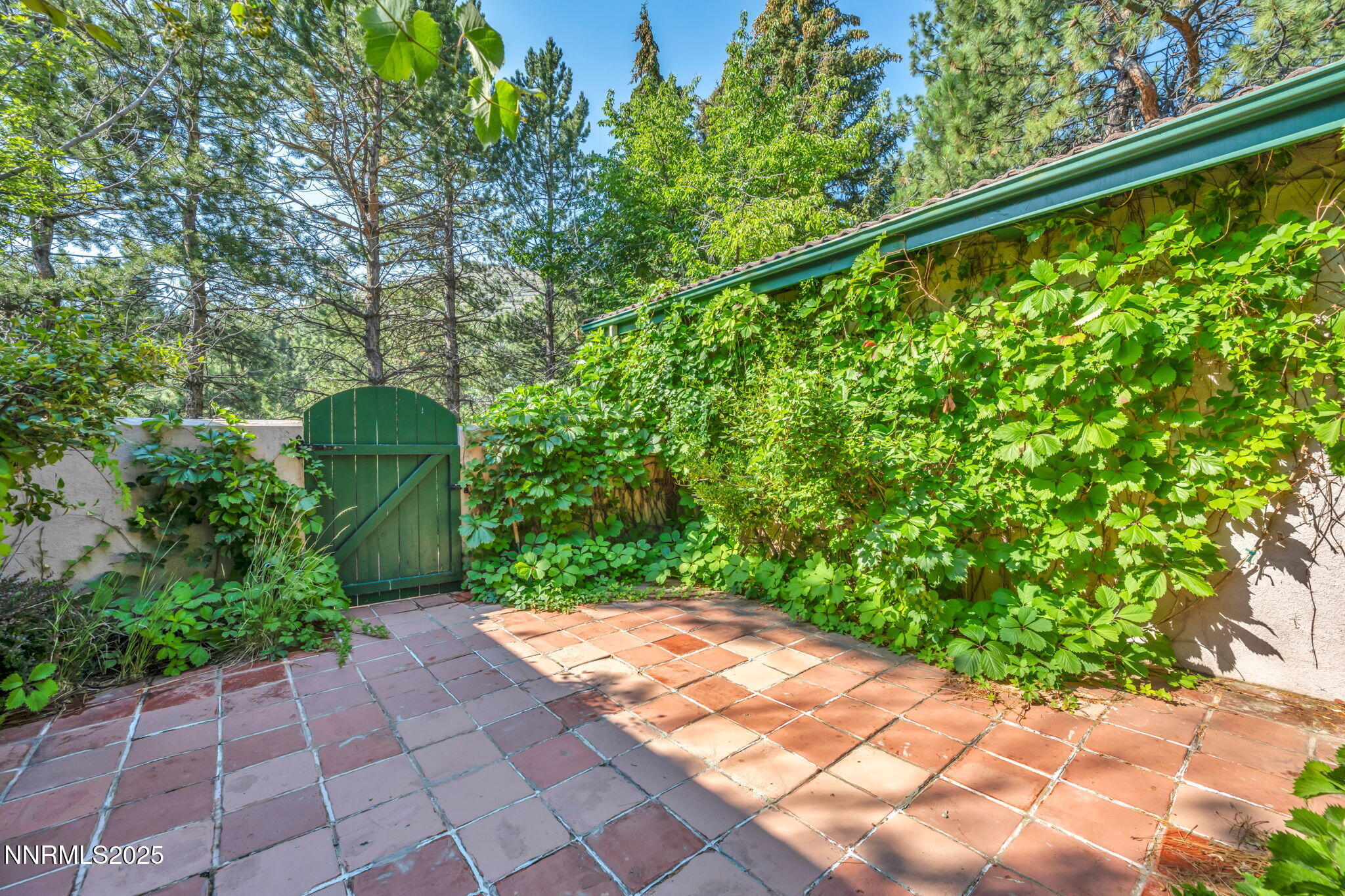 4300 Levi Gulch Road Property Photo 9