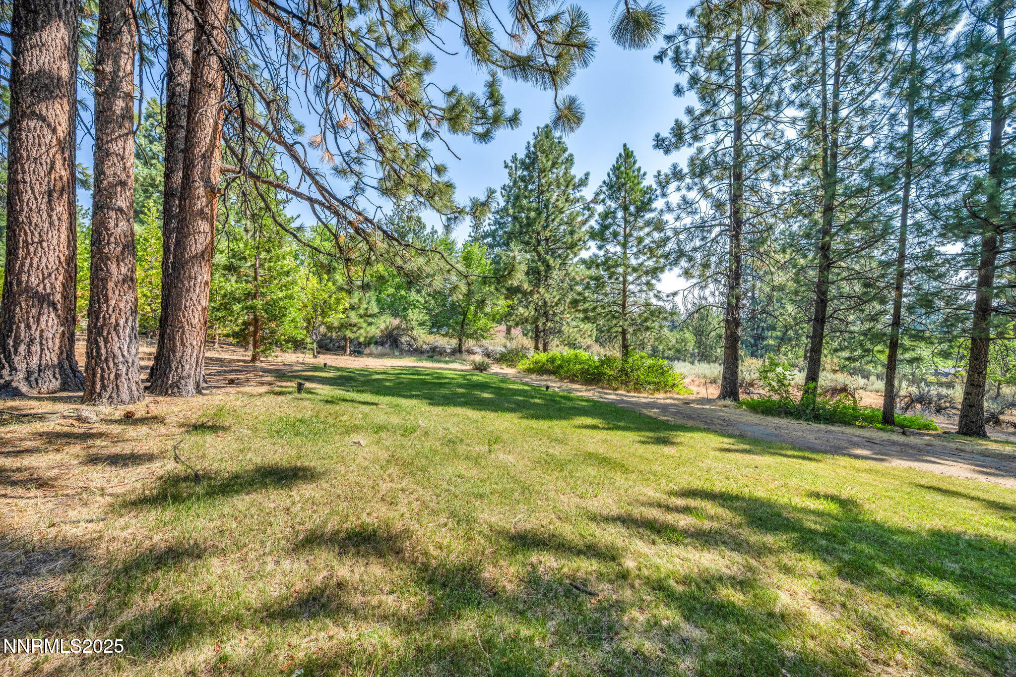 4300 Levi Gulch Road Property Photo 78