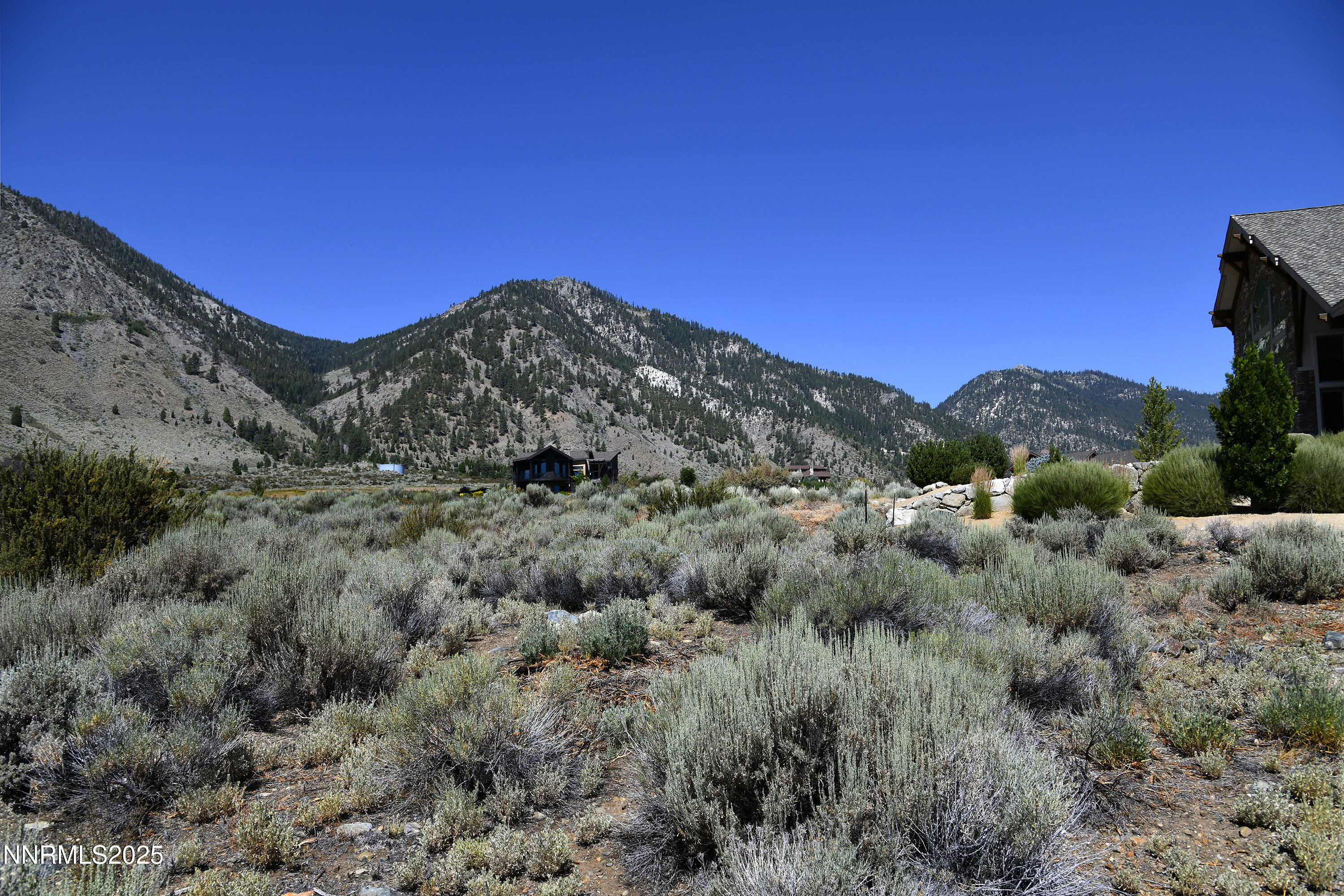 343 James Canyon Loop Property Photo 4