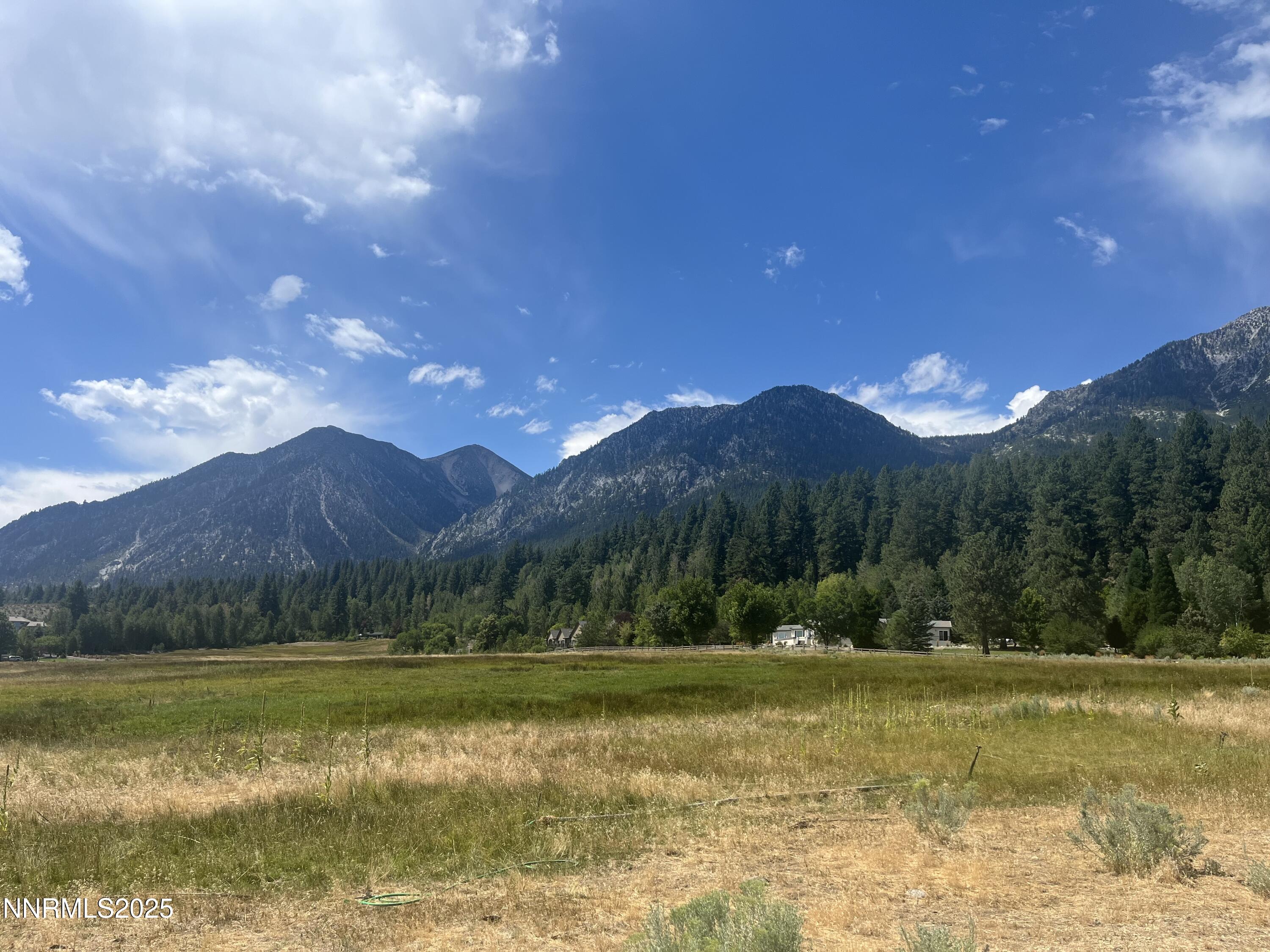 233 Sierra Country Circle Property Photo 4