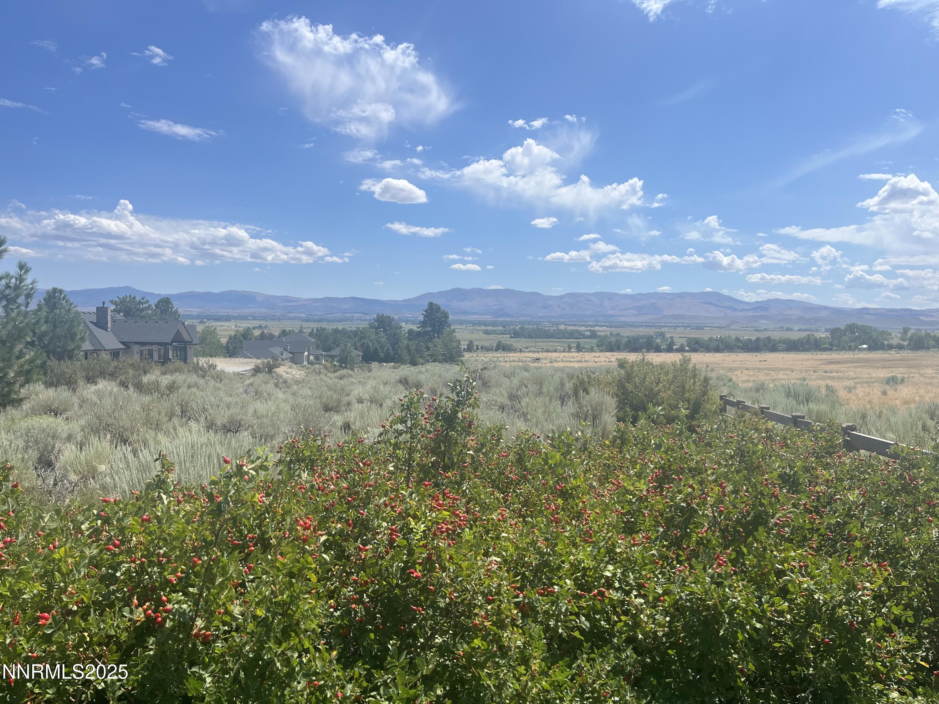 233 Sierra Country Circle Property Photo 7
