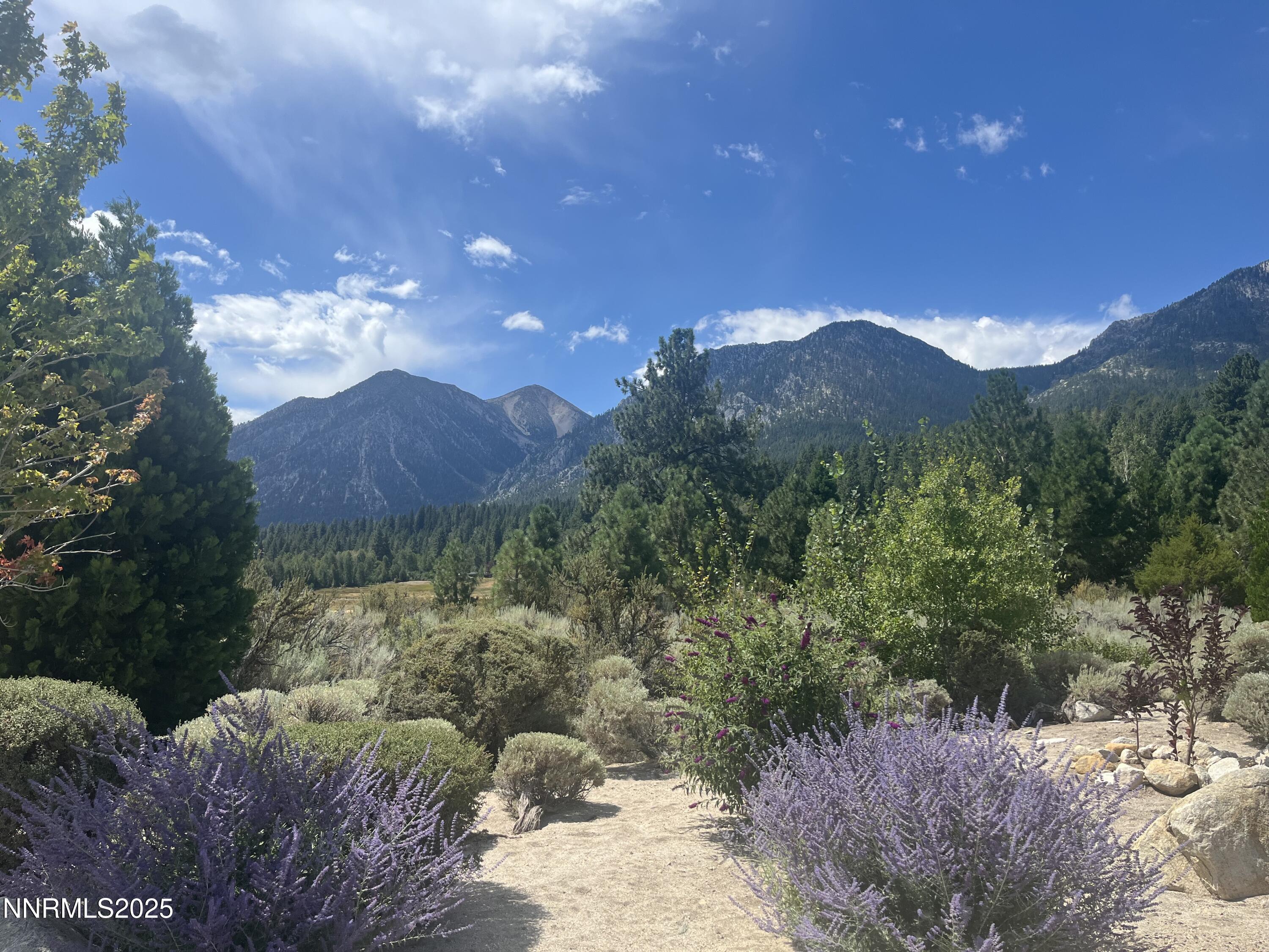 233 Sierra Country Circle Property Photo 11