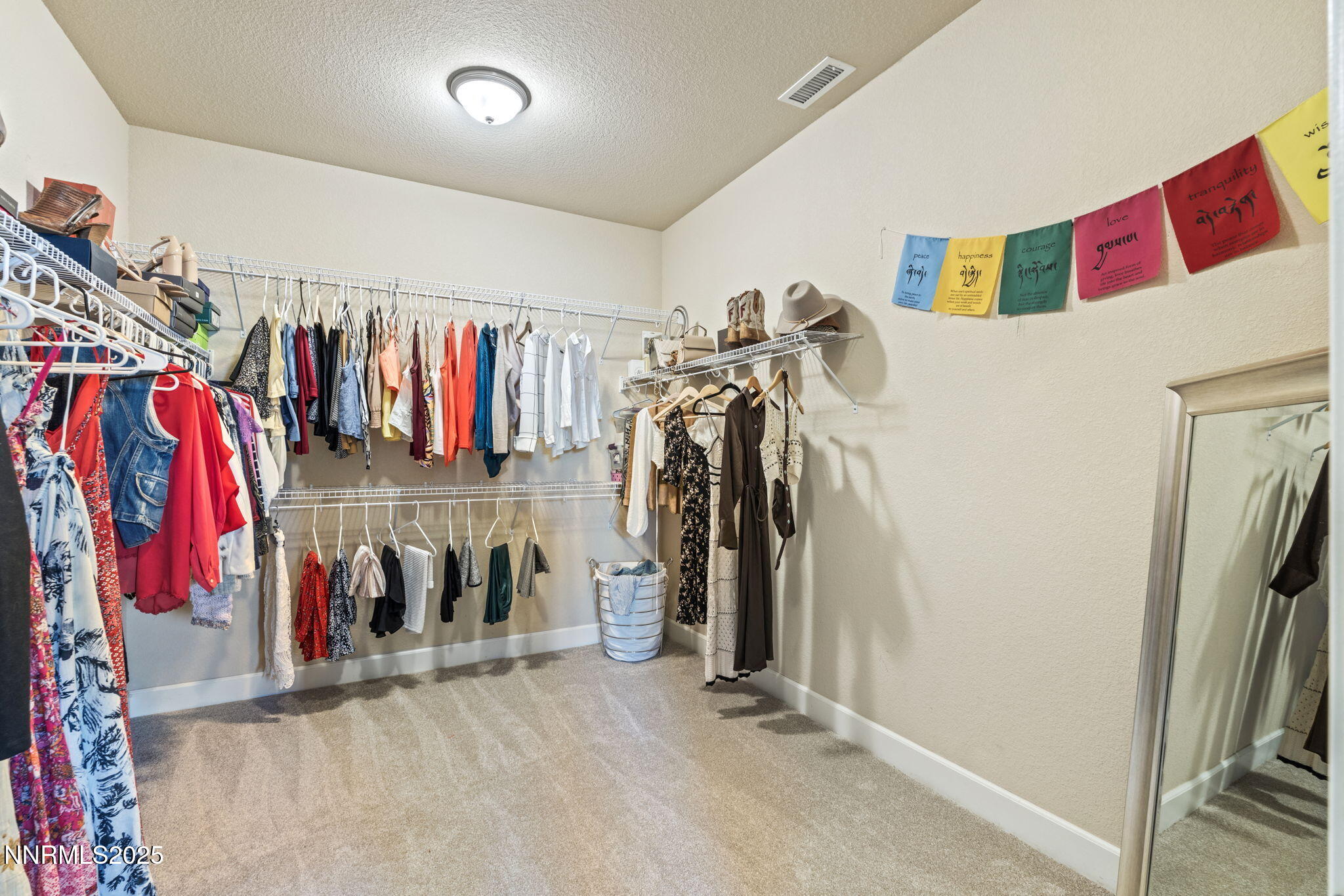 2860 Tobiano Drive Property Photo 9