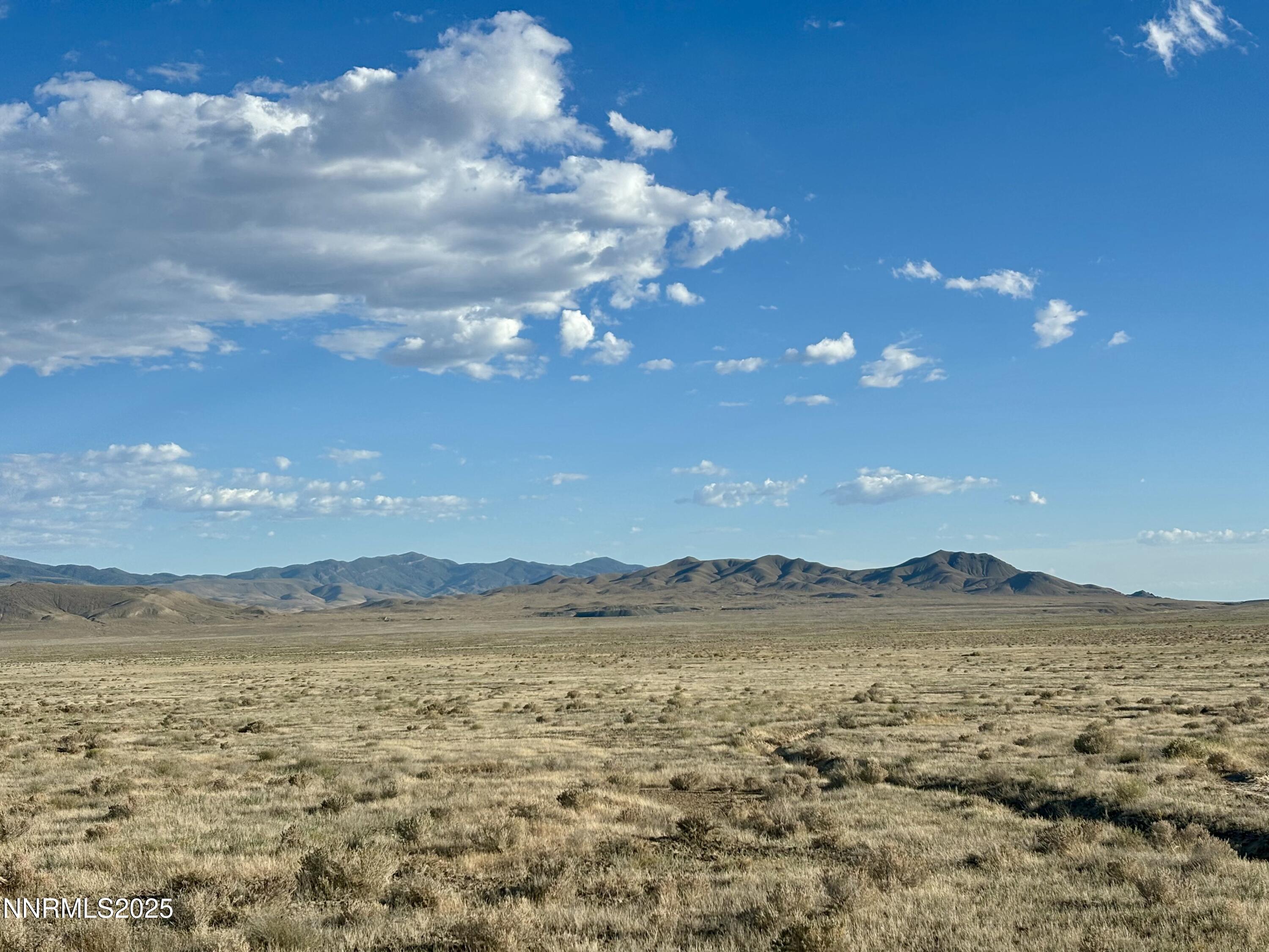 80 Acres Innmans Road Property Photo 4