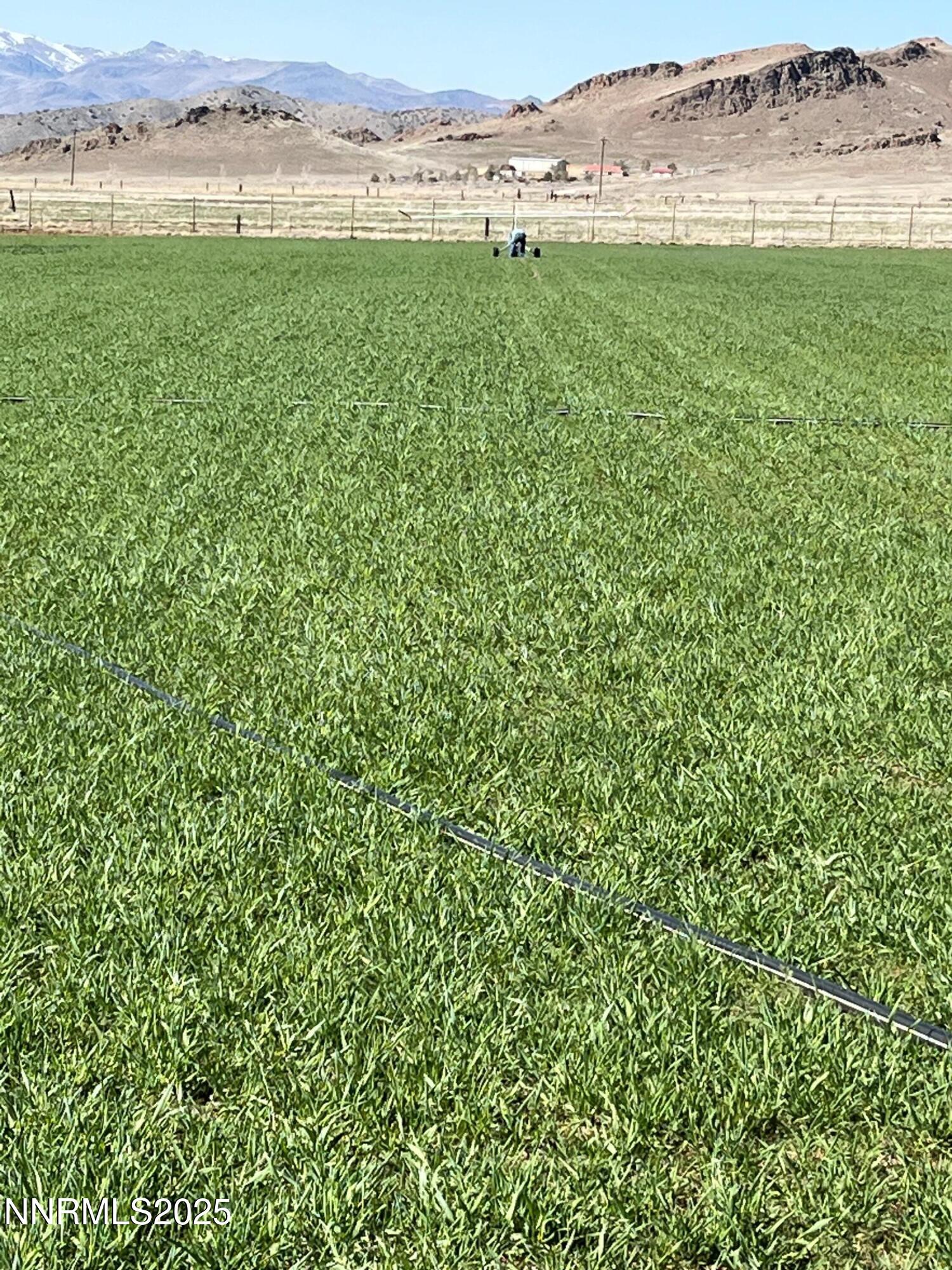 3995 Bacon Rind Road Property Photo 2