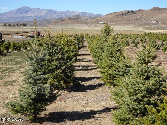 3995 Bacon Rind Road Property Photo 6