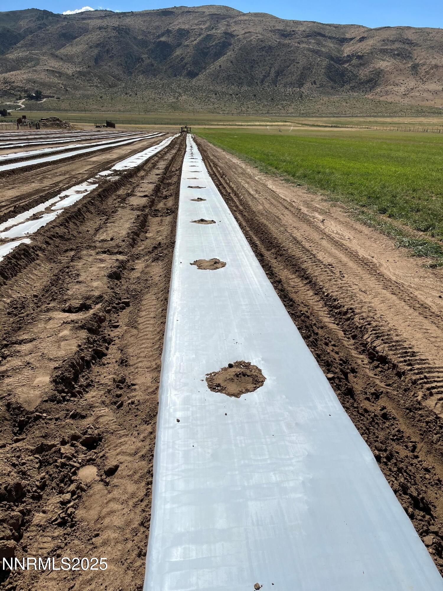 3995 Bacon Rind Road Property Photo 7