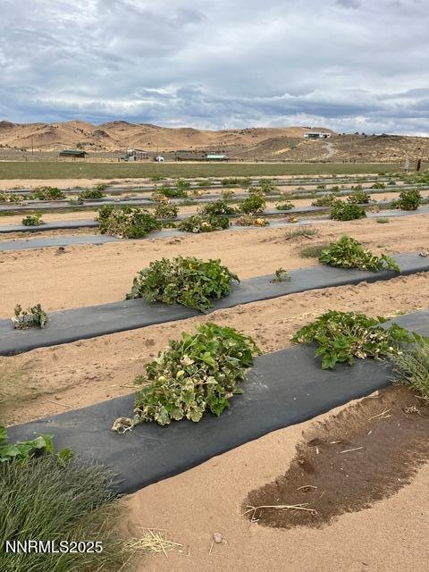 3995 Bacon Rind Road Property Photo 8