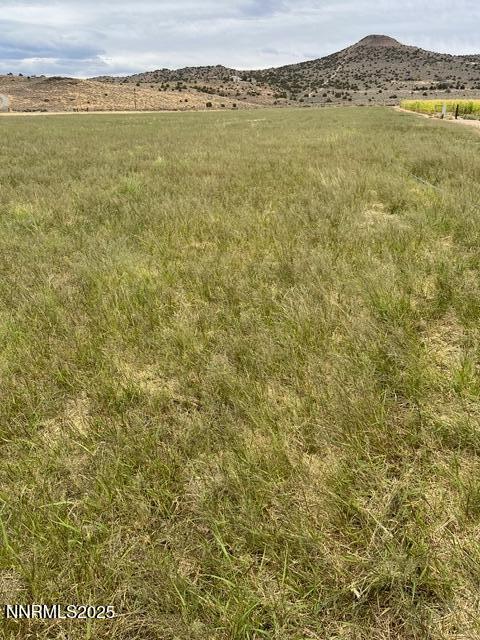 3995 Bacon Rind Road Property Photo 11