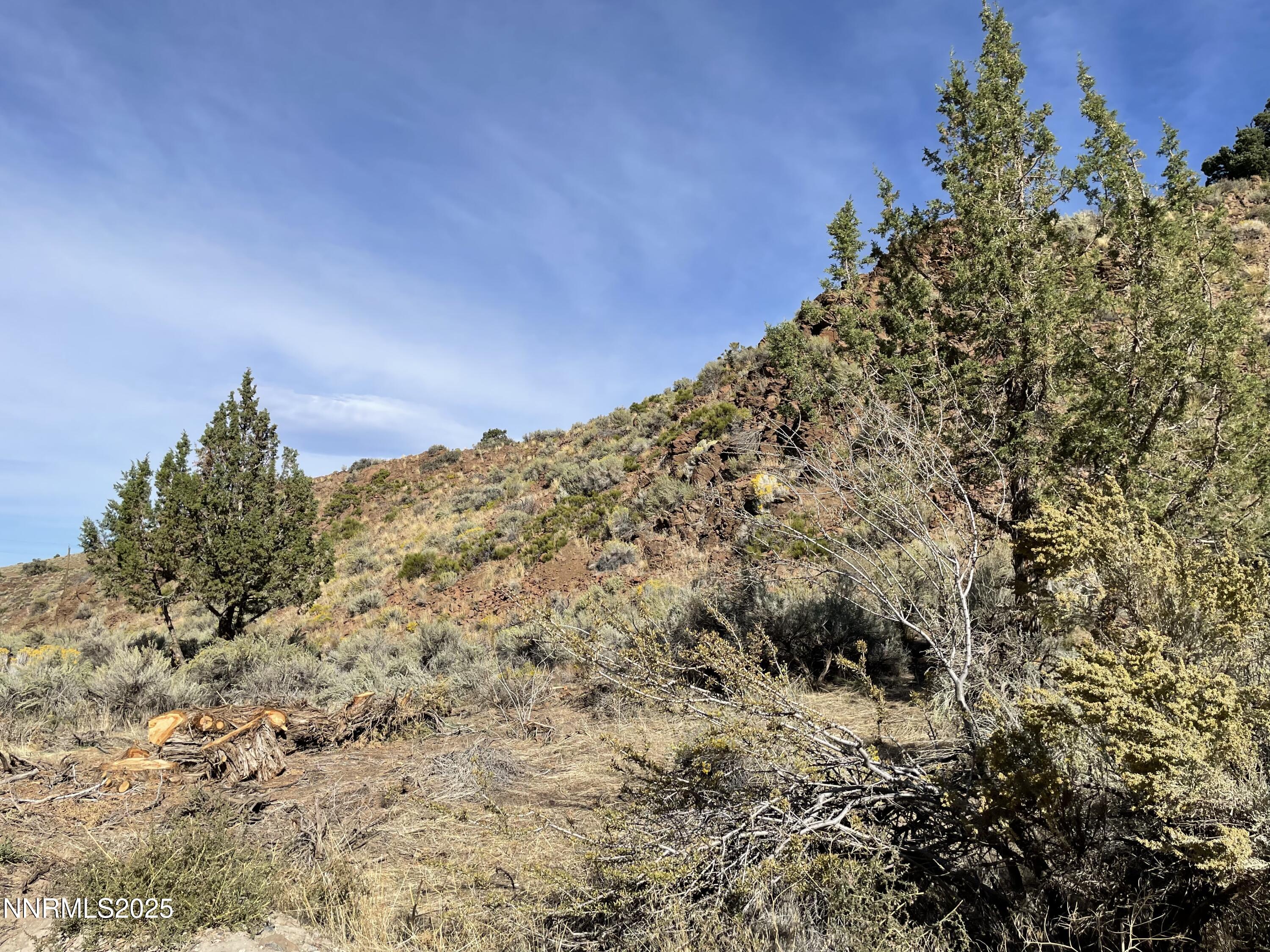 0 Quaking Aspen Road Property Photo 13