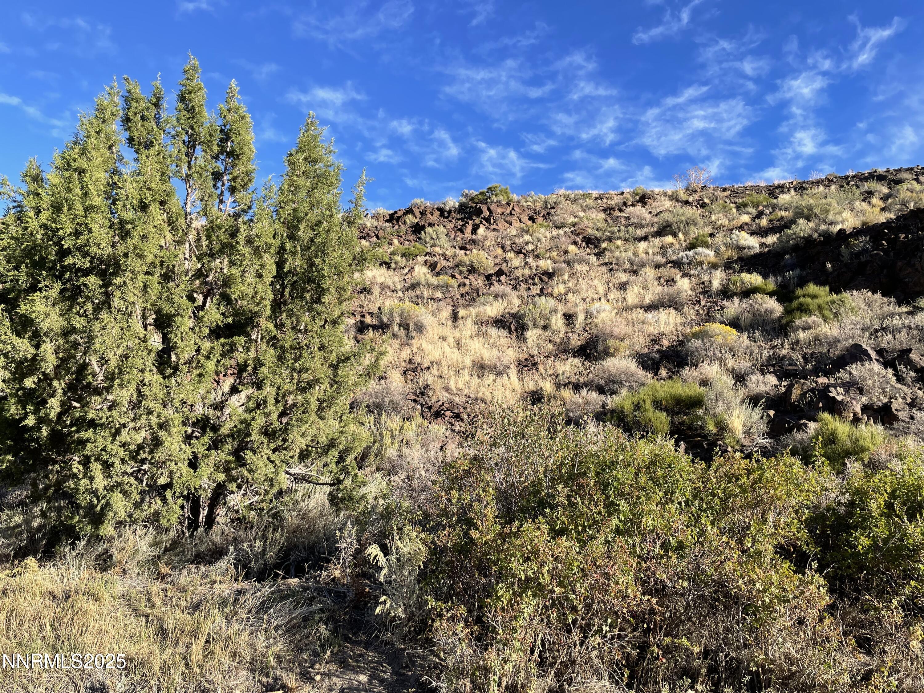 0 Quaking Aspen Road Property Photo 14