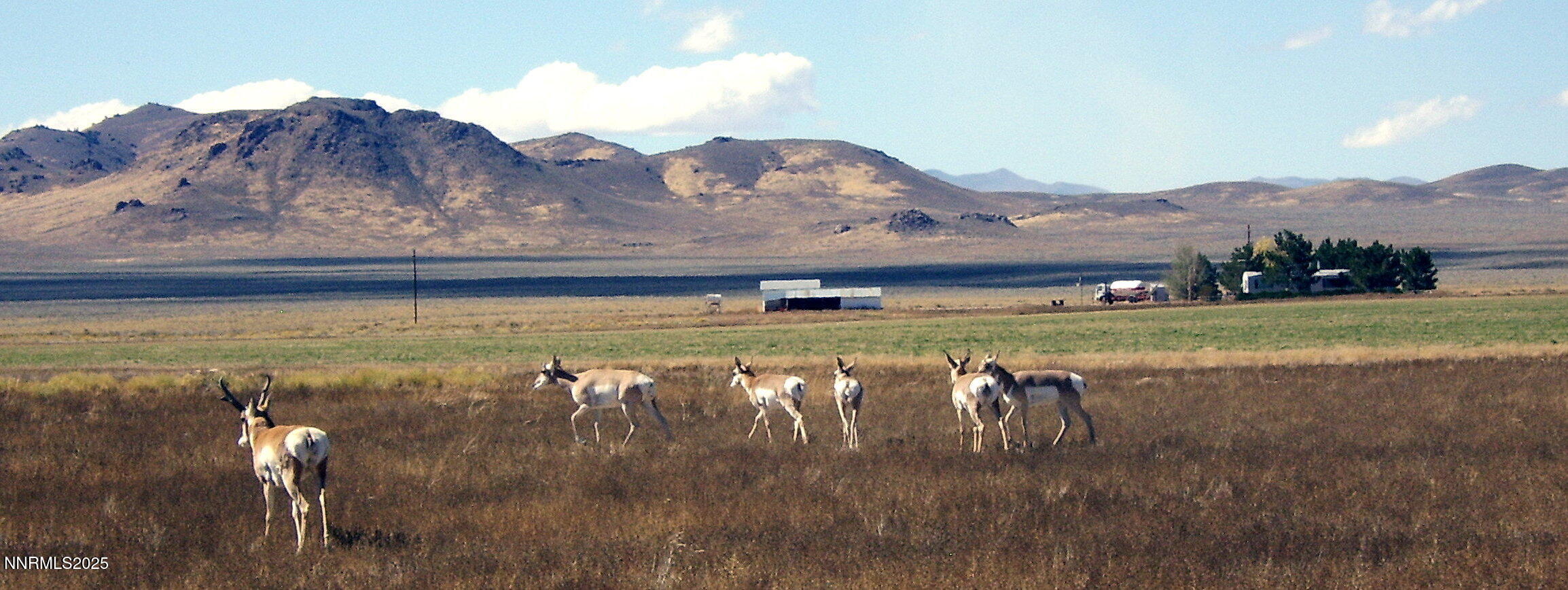 6715 Antelope Circle Property Photo 6