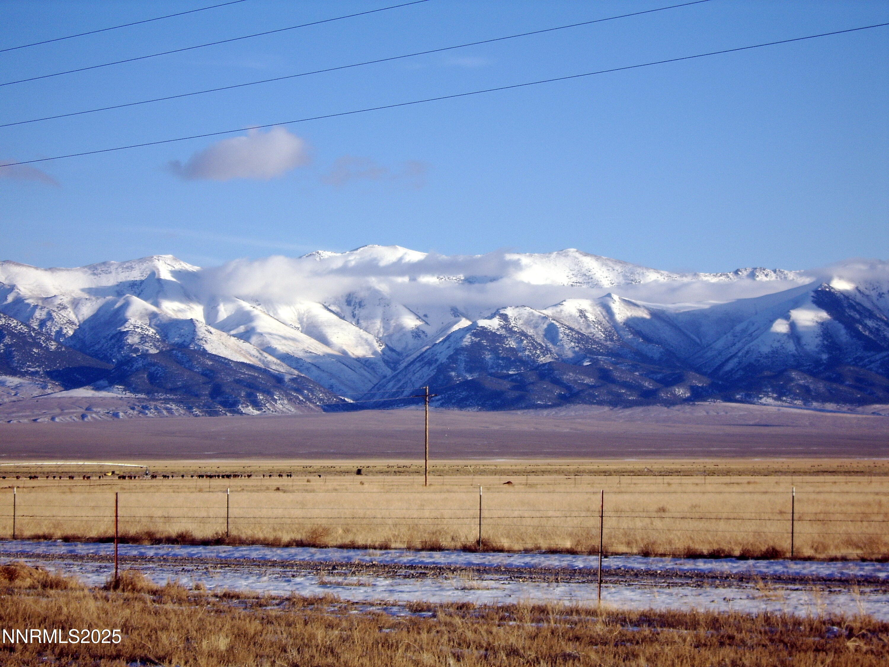 6715 Antelope Circle Property Photo 10