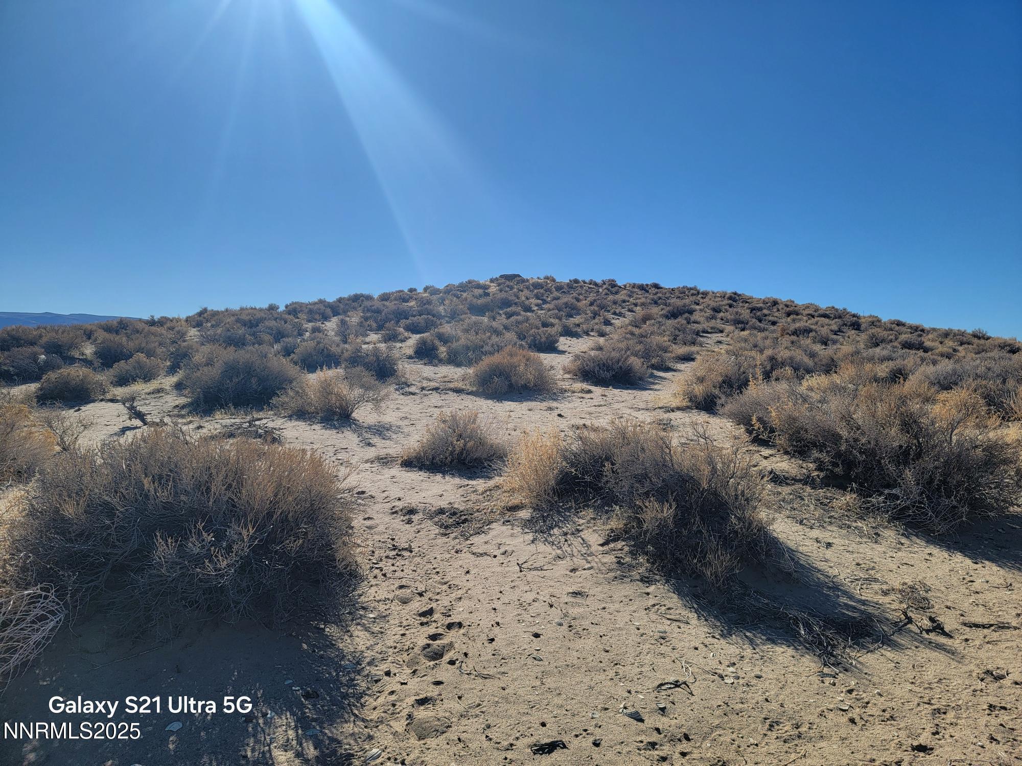 1595 E 6th Street Property Photo 3