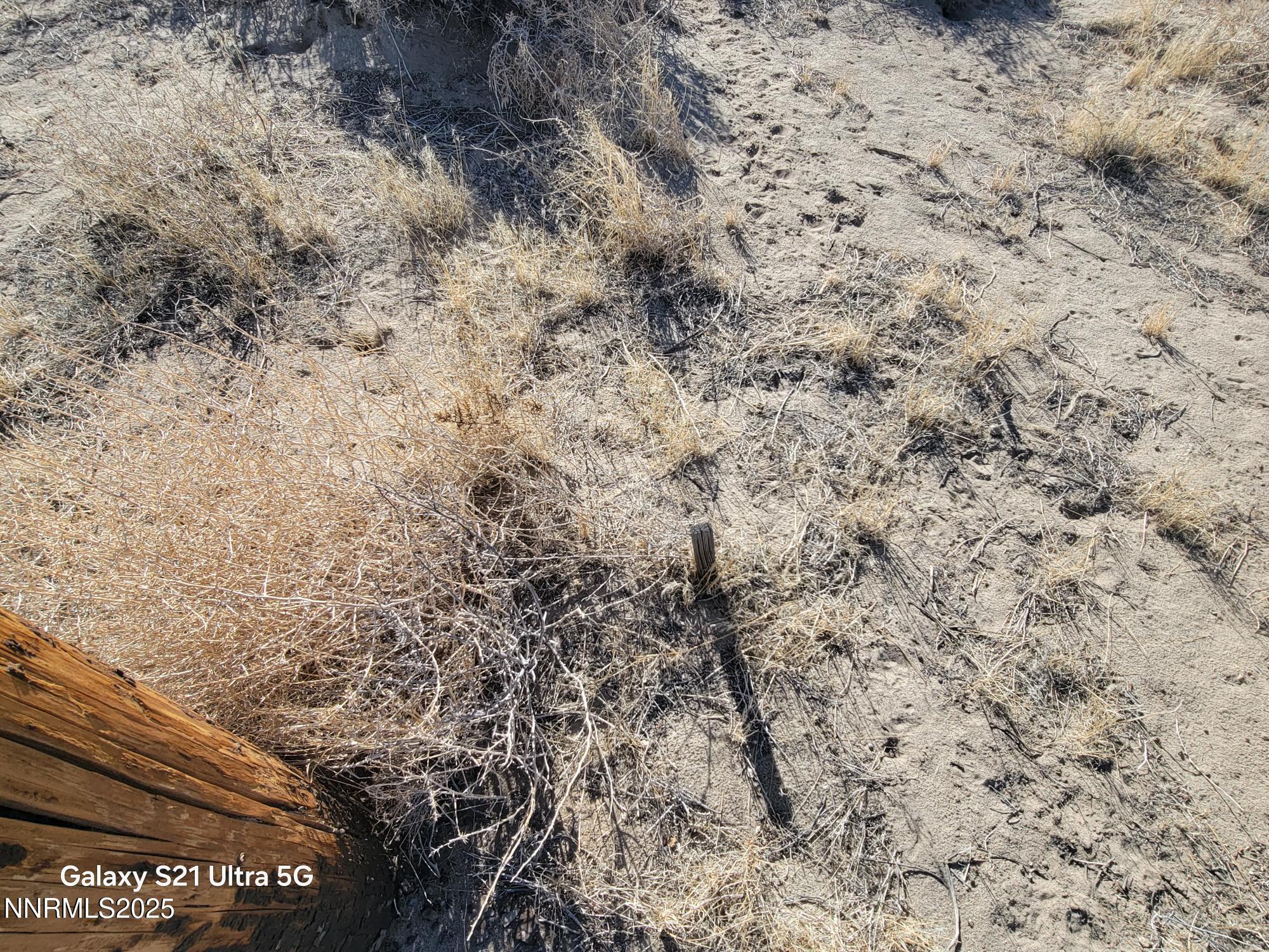 1595 E 6th Street Property Photo 7