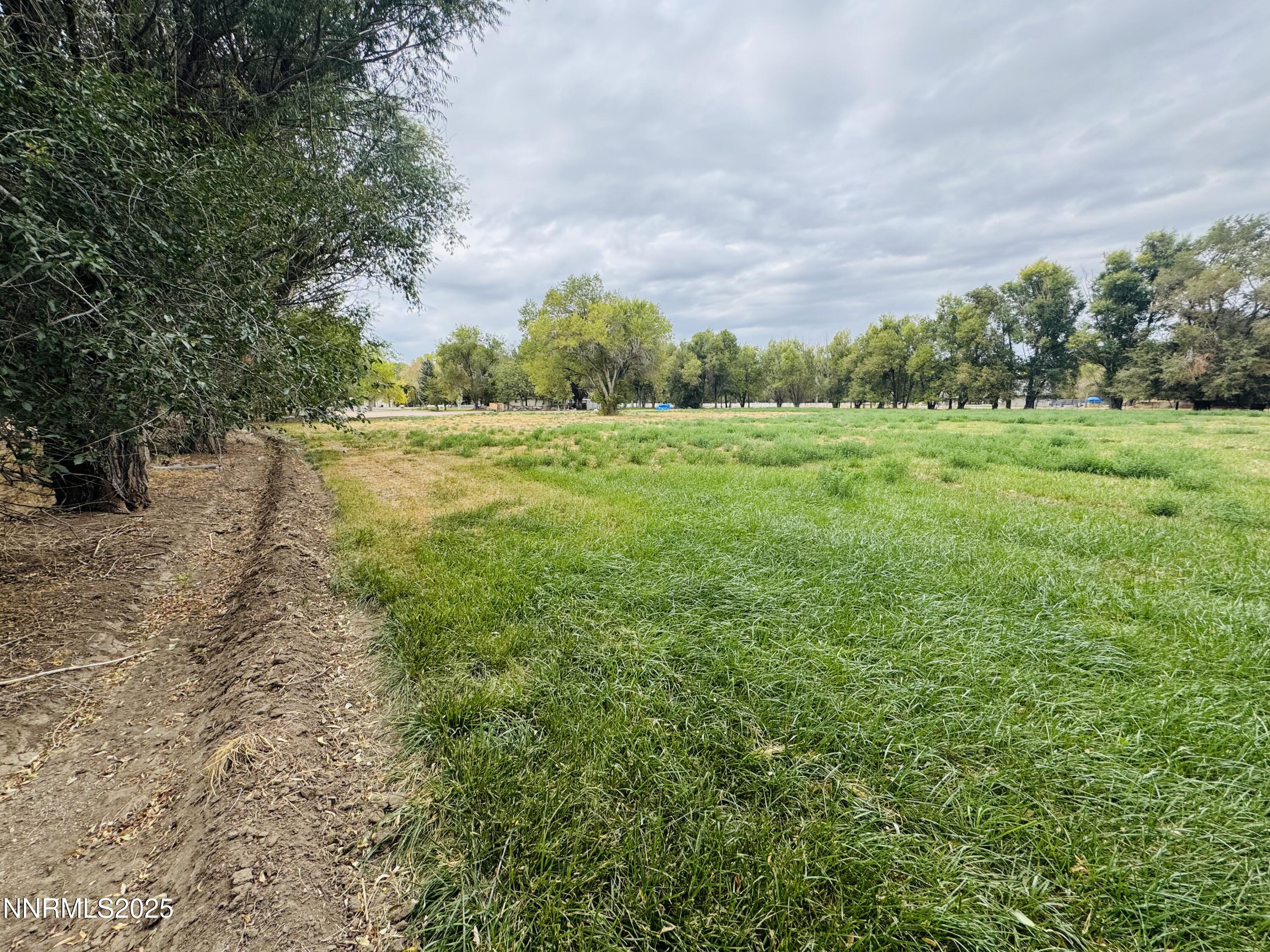 1616 Scoti Lane Property Photo 43