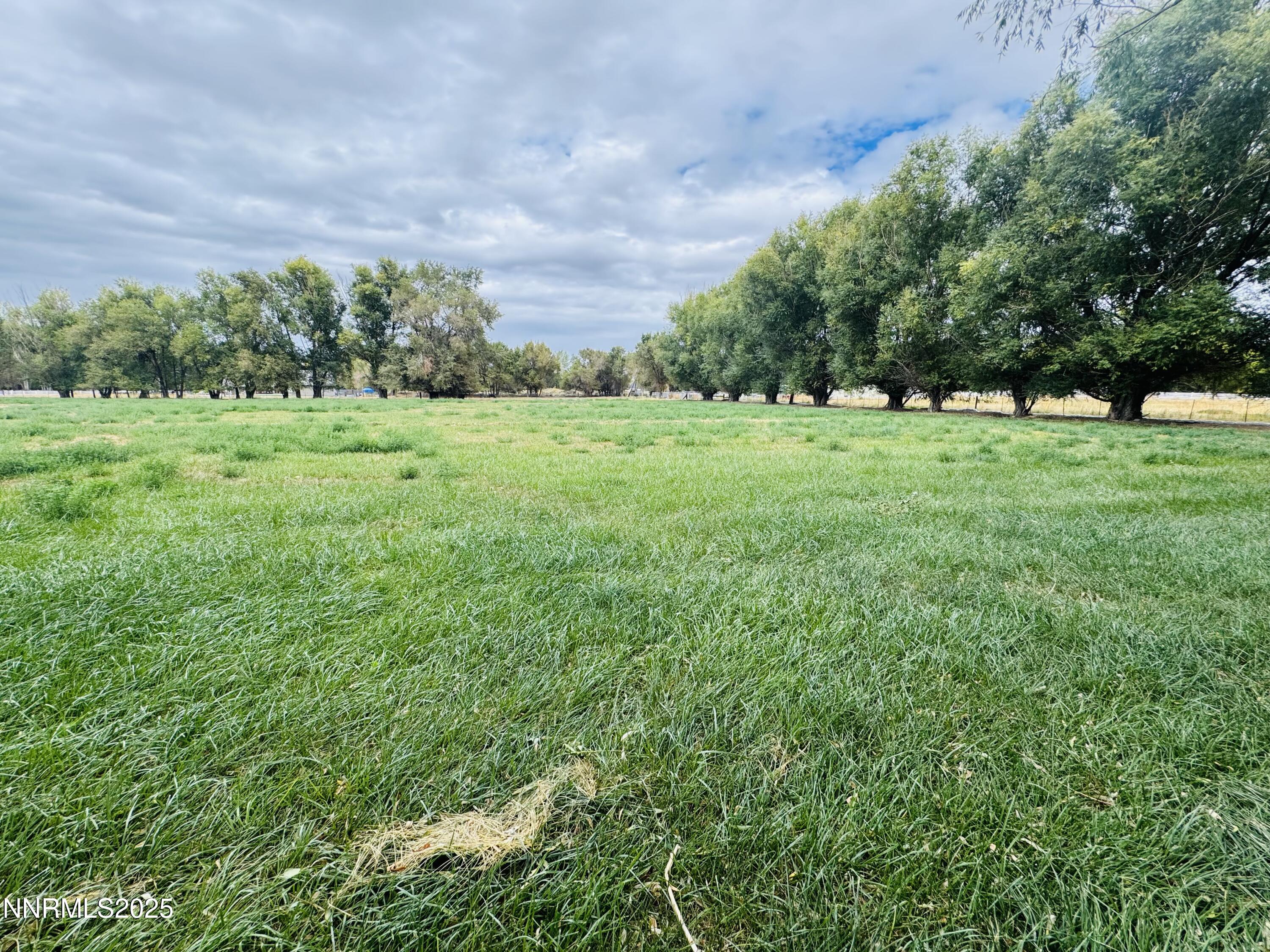 1616 Scoti Lane Property Photo 44