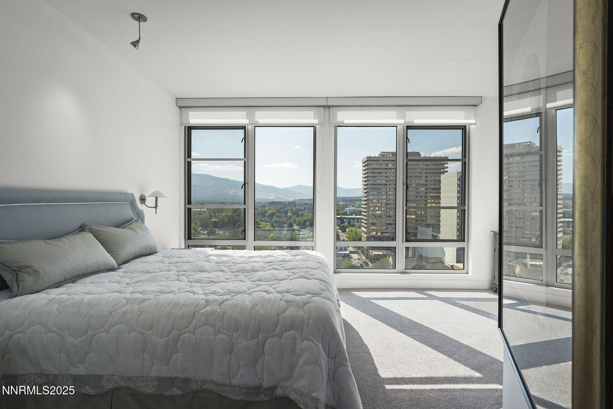 50 N Sierra Street Property Photo 46