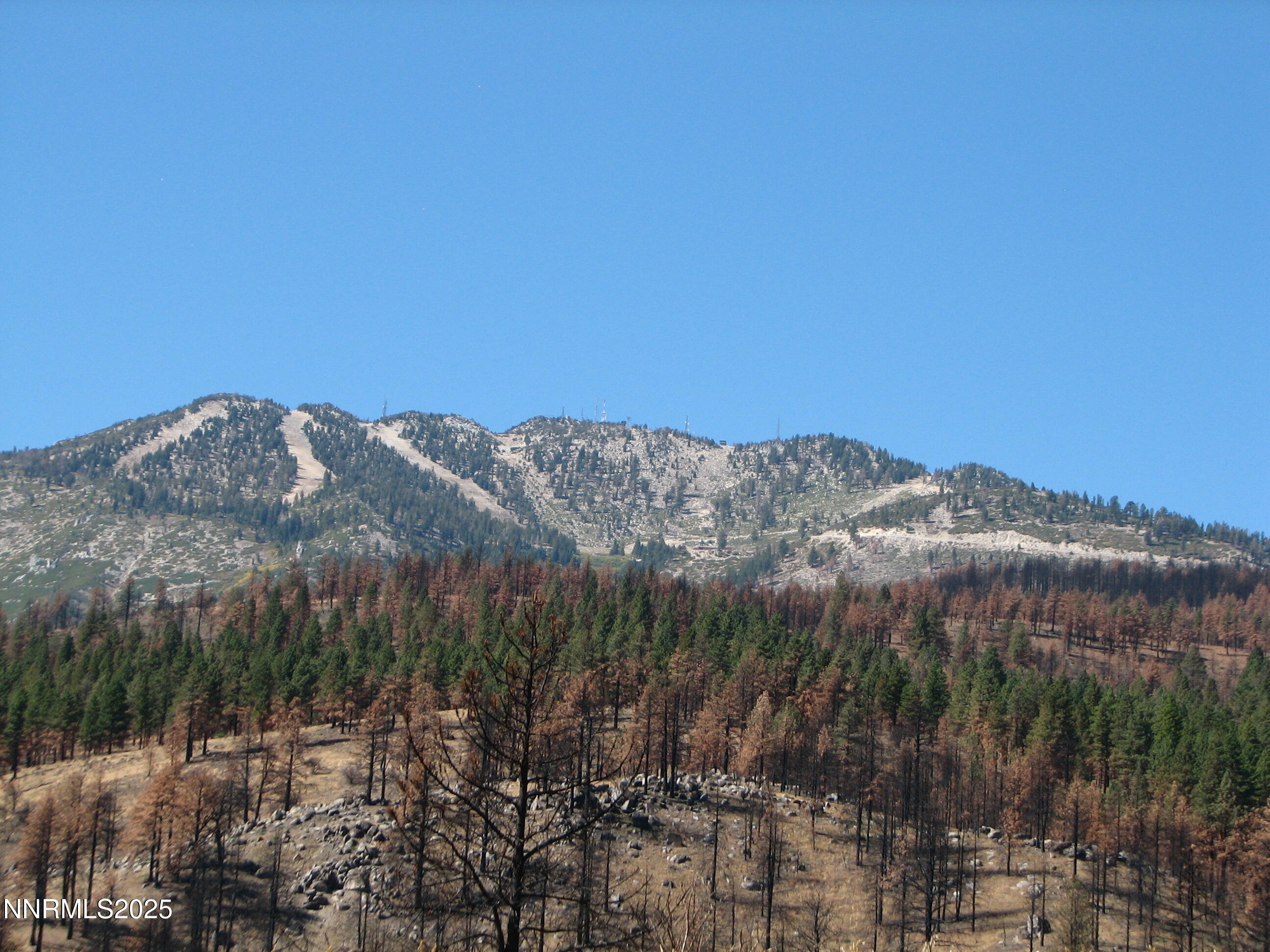 0 Joy Lake Road Property Photo 14