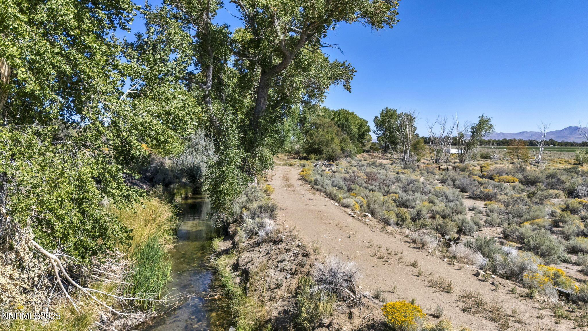 456 Upper Colony Road Property Photo 3