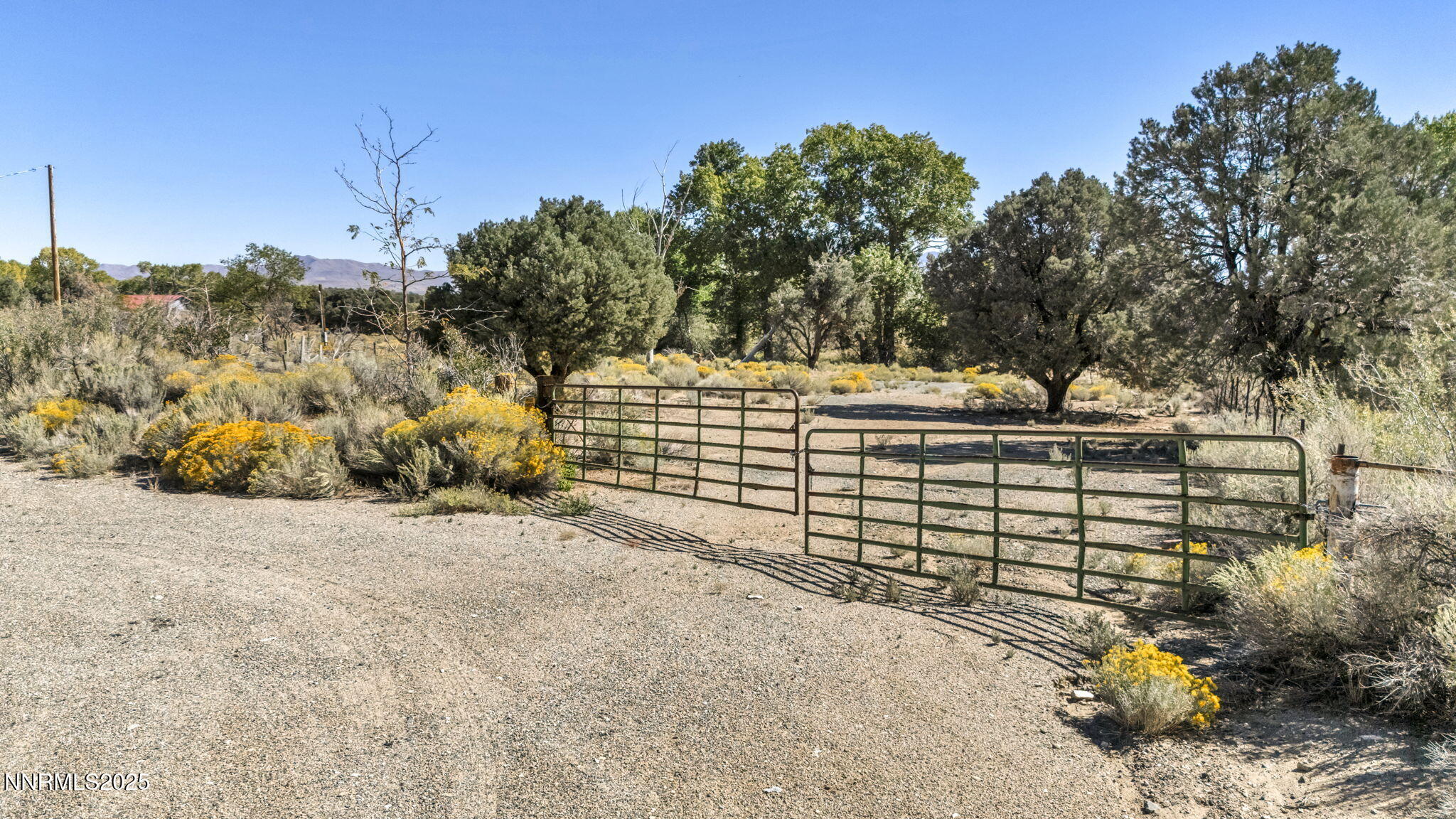 456 Upper Colony Road Property Photo 6