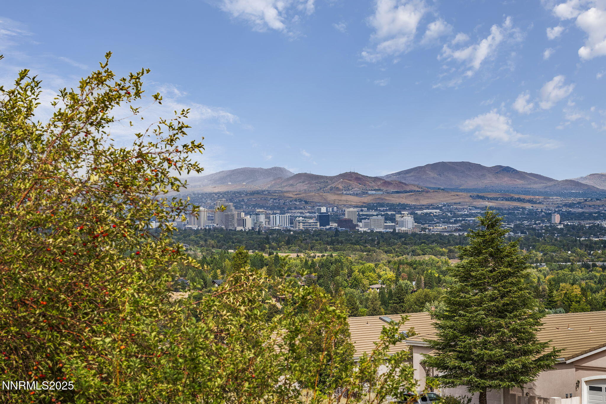 2652 Starr Meadows Loop Property Photo 44