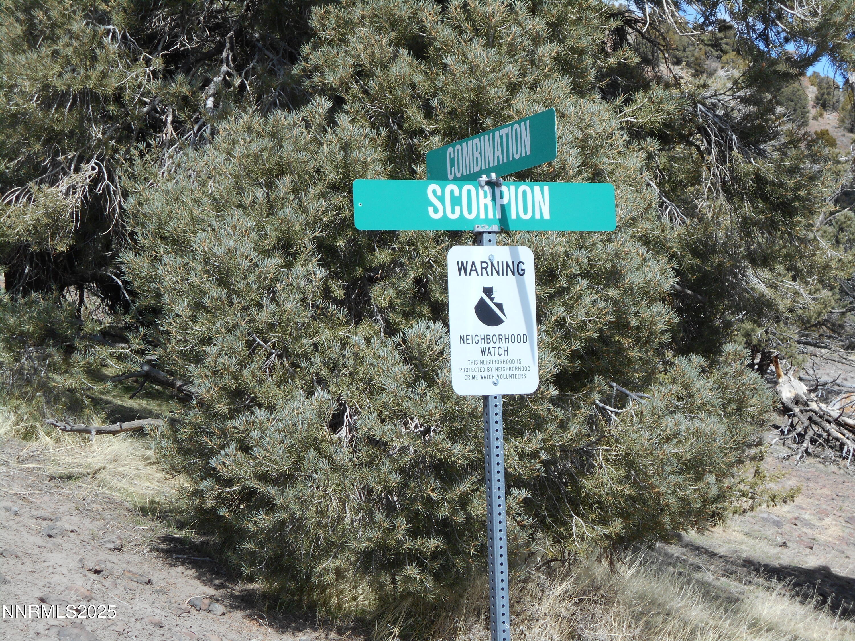 2050 Scorpion Road Property Photo 1