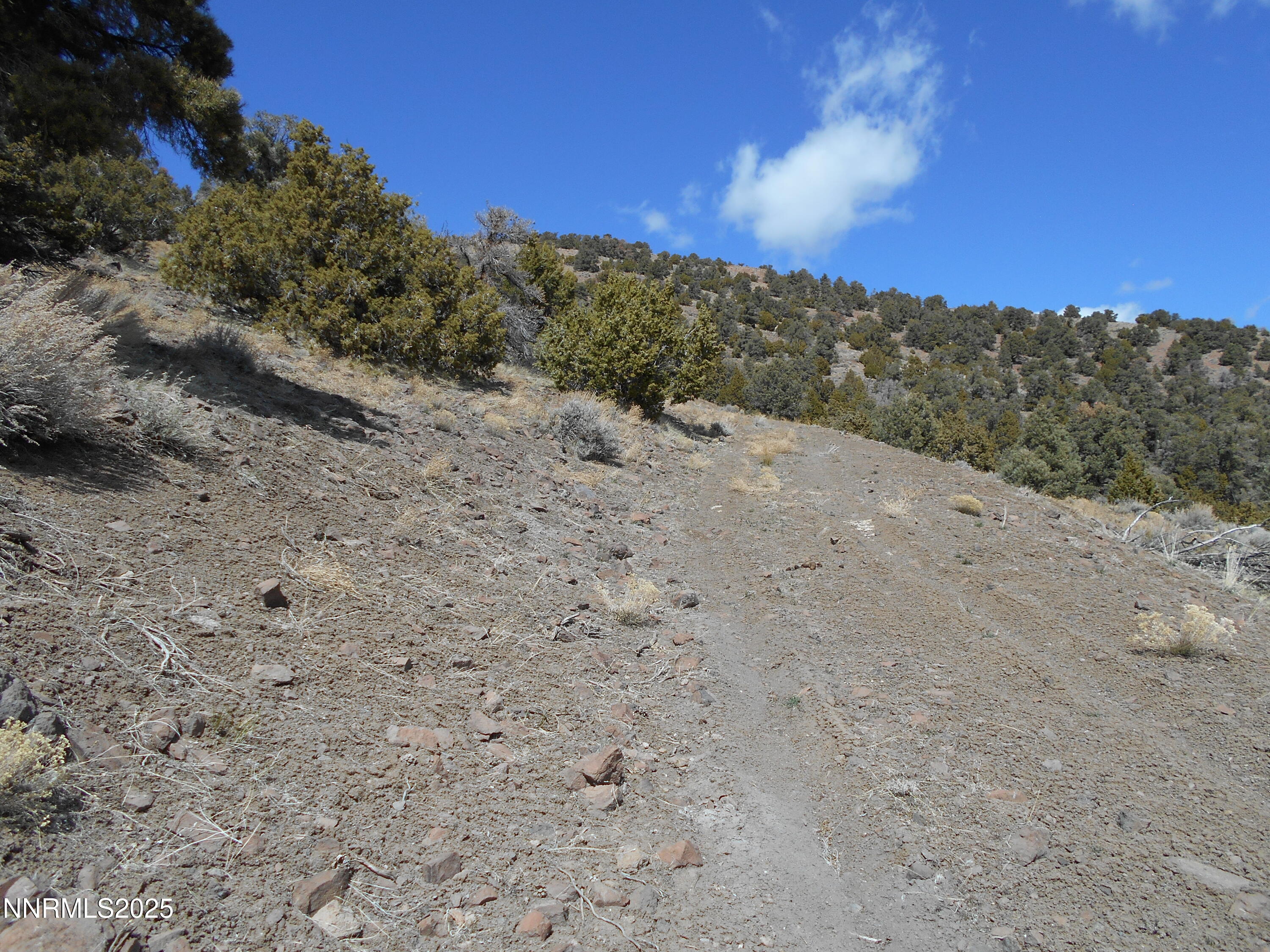 2050 Scorpion Road Property Photo 3